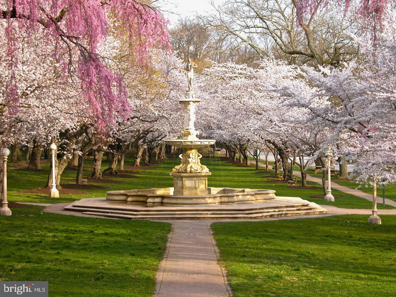 2103 Baynard Boulevard Wilmington, DE 19802 - Photo 71 of 75 Josephine fountain at the Brandywine Park!