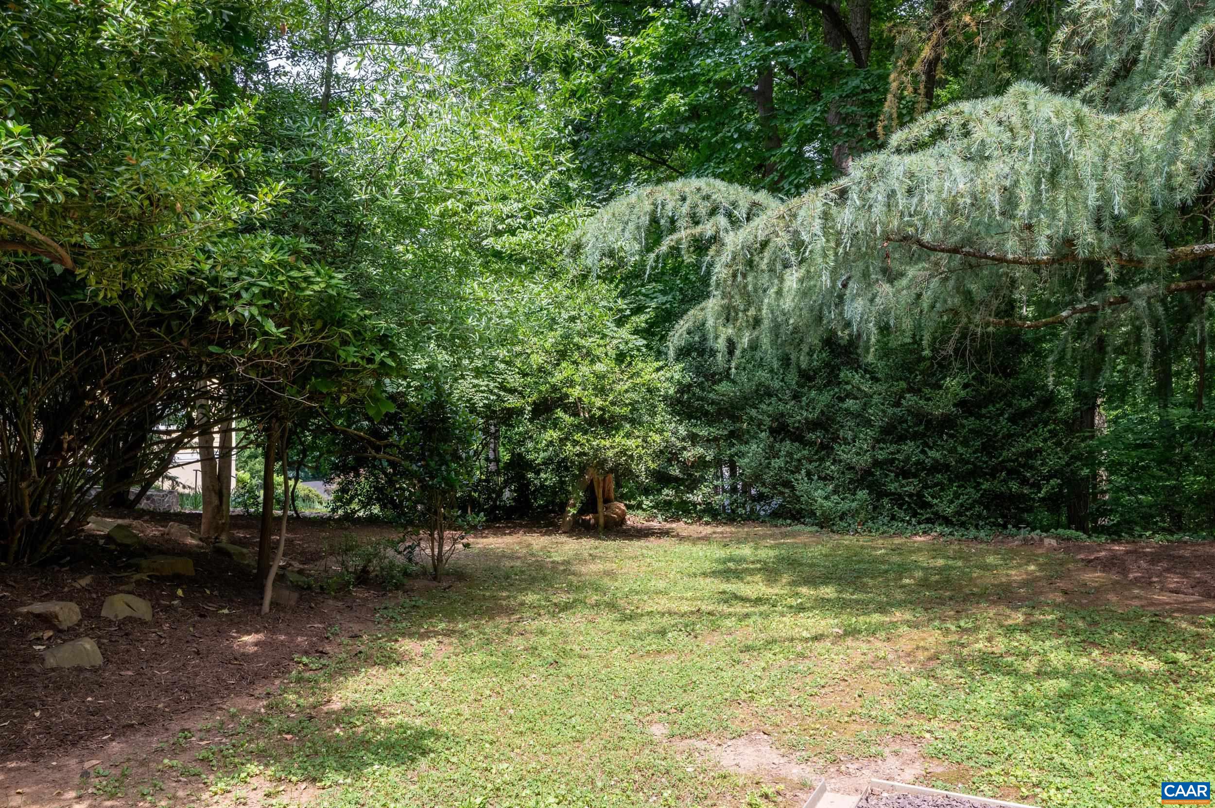 1933 Blue Ridge Road Charlottesville, VA 22903 - Photo 44 of 48