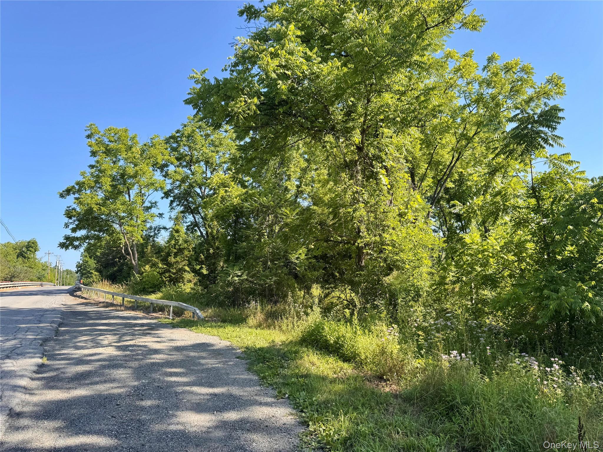 80 Fishkill Hook Road Hopewell Junction, NY 12533 - Photo 9 of 12 a view of a yard