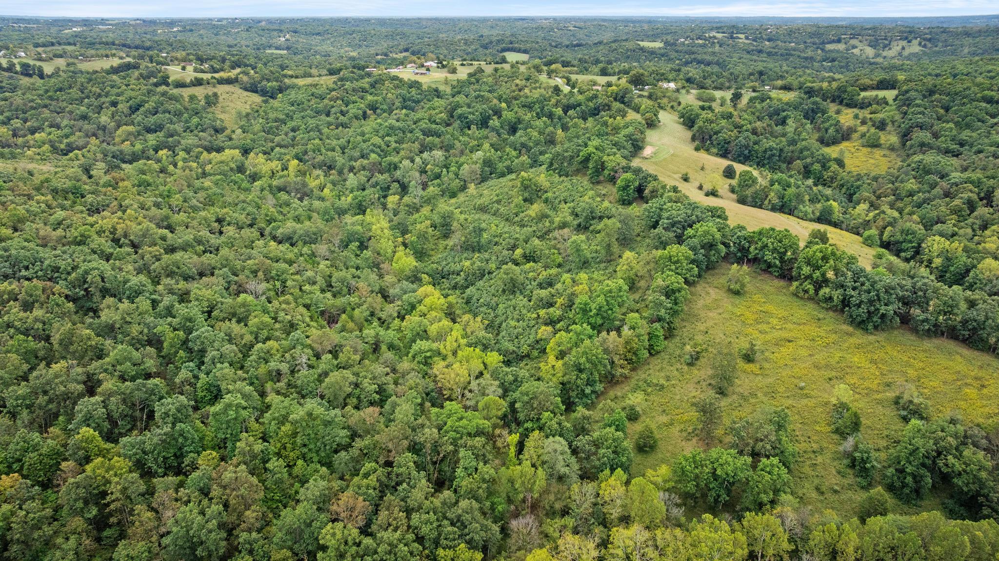 0 New Zion Road Foster, KY 41043 - Photo 19 of 23 DJI_20260830125124_0467_D