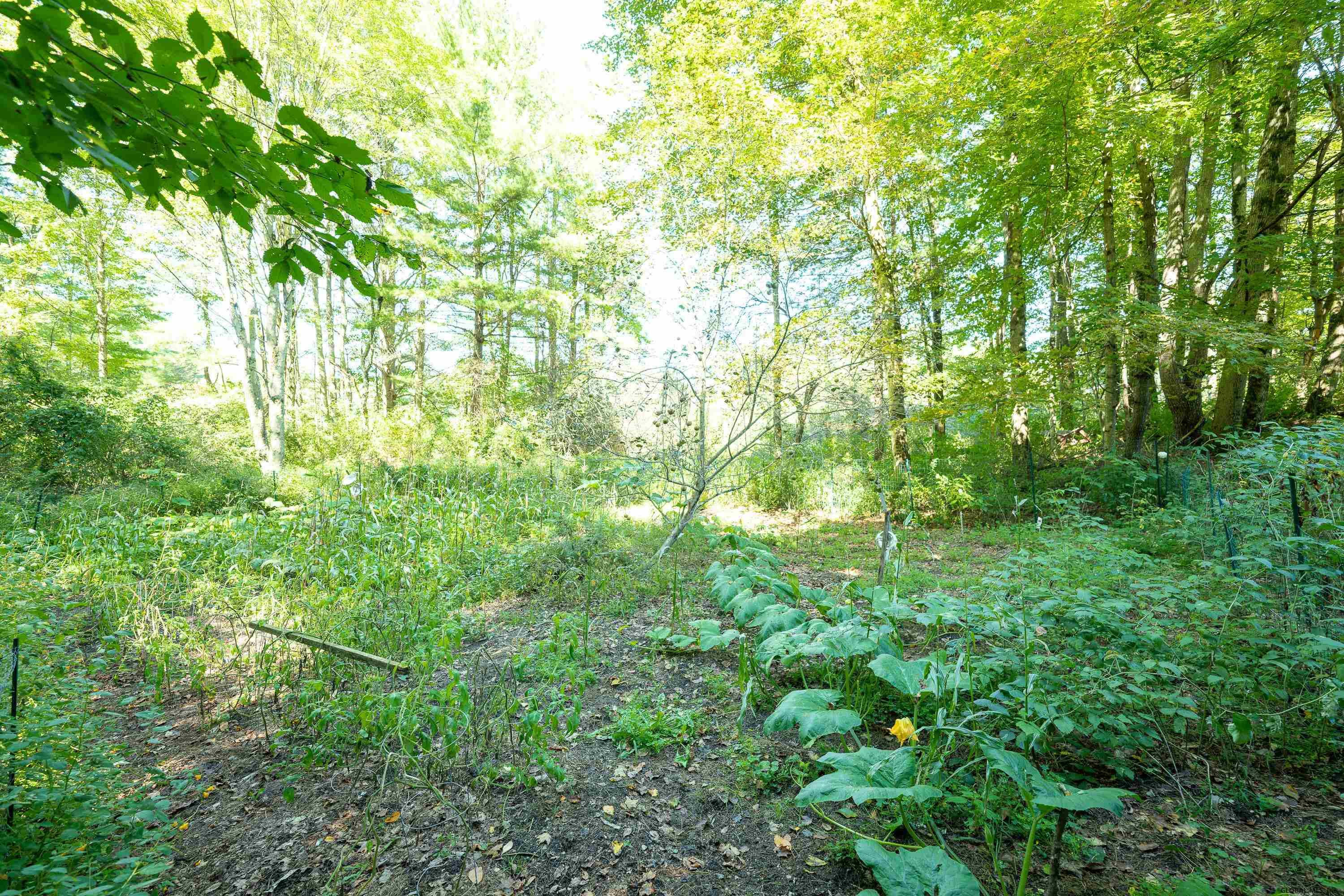 147 County Rte 49 Salem, NY 12865 - Photo 69 of 79 Photo 69