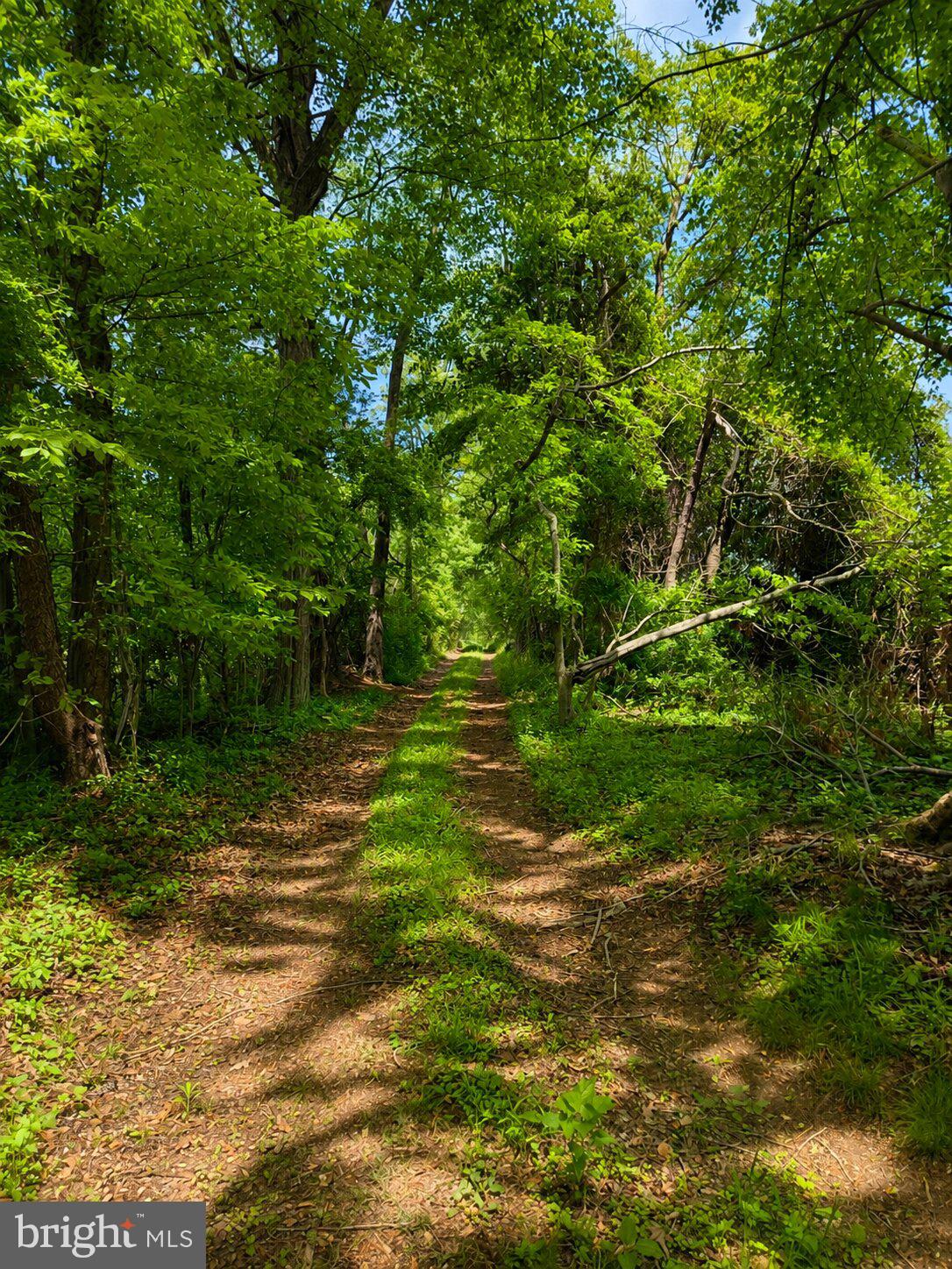 1475 Langhorne Yardley Road Langhorne, PA 19047 - Photo 17 of 28 Serene path through lush greenery.