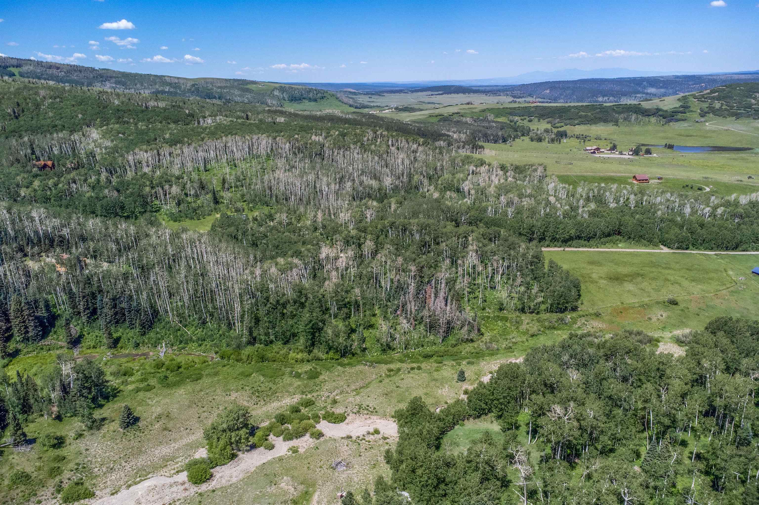3170 San Juan Vista Road Placerville, CO 81430 - Photo 11 of 41