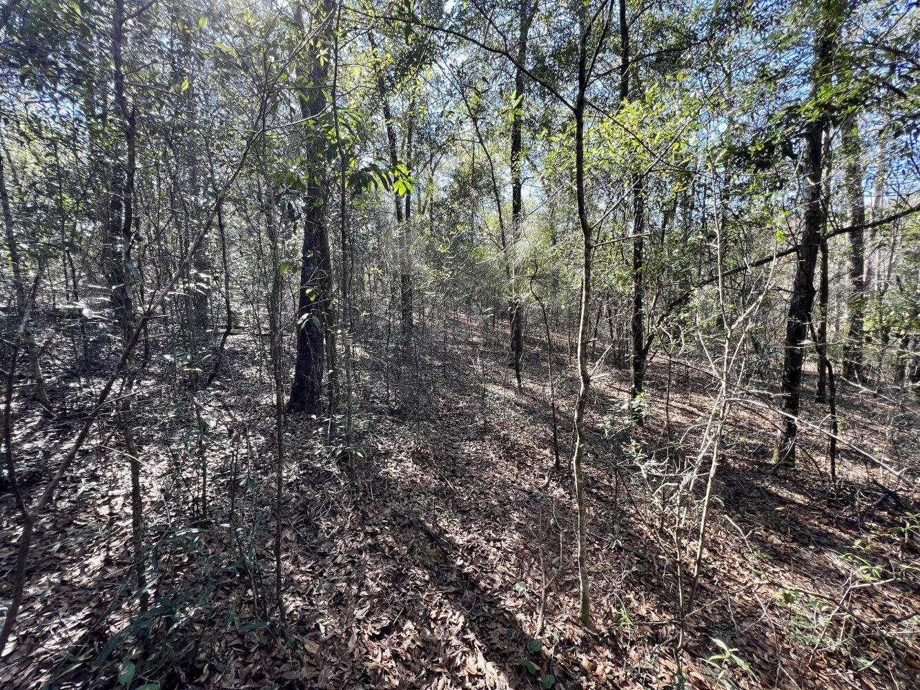 0 Dixon Road Bay Minette, AL 36507 - Photo 32 of 50