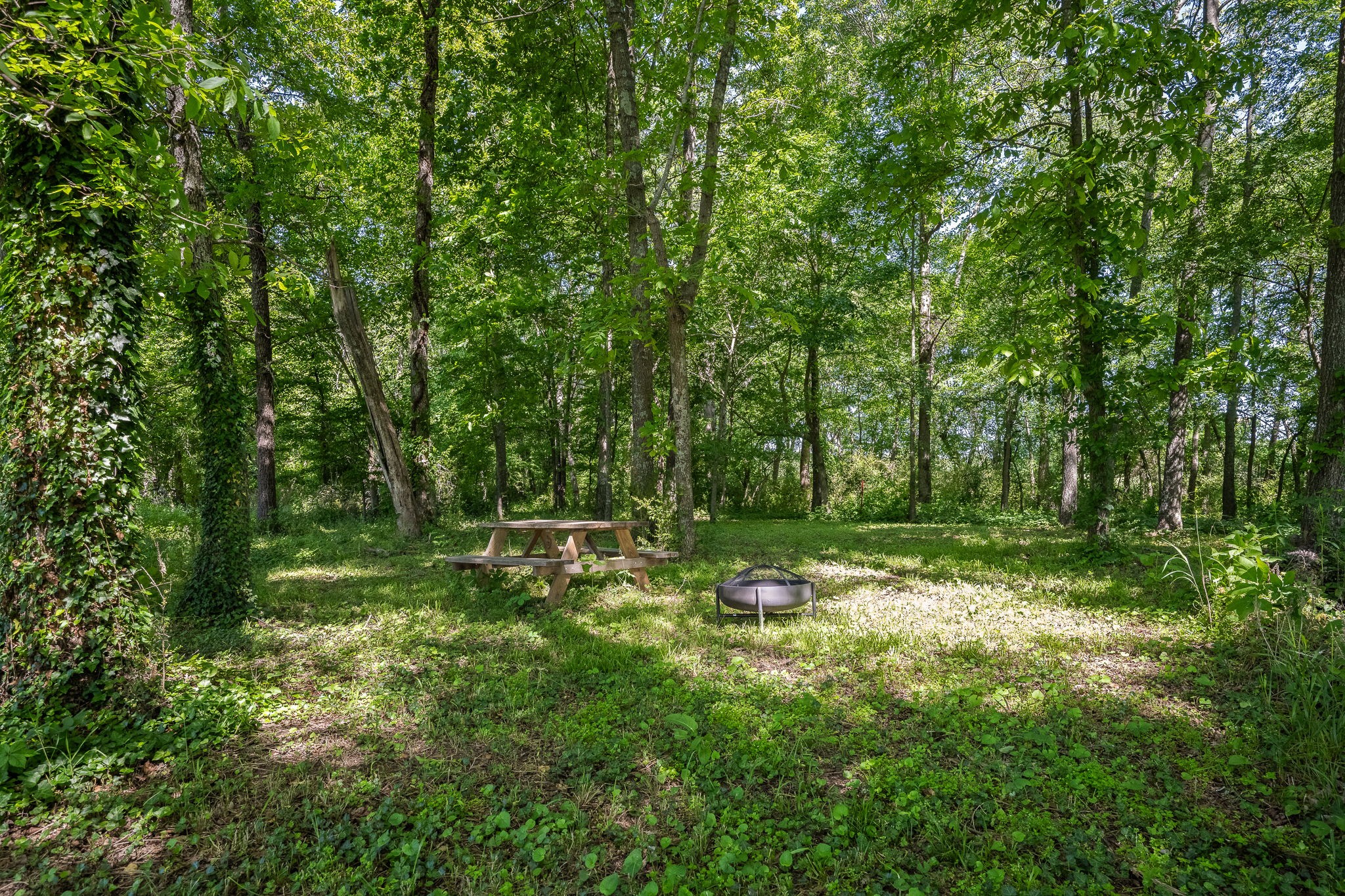 796 Deberry Road Morrison, TN 37357 - Photo 36 of 39