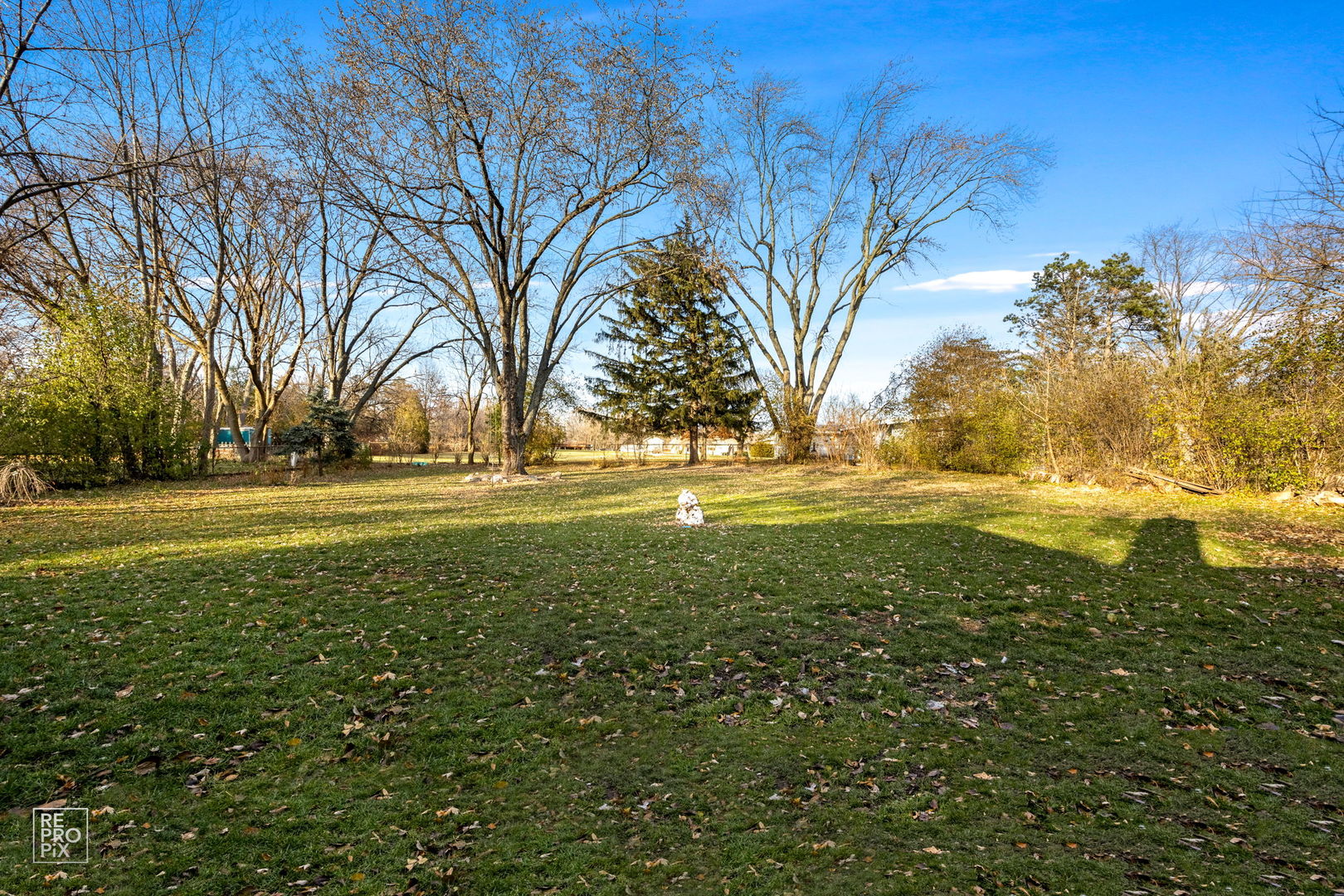 362 63rd Street Willowbrook, IL 60527 - Photo 25 of 25 a view of yard with green space