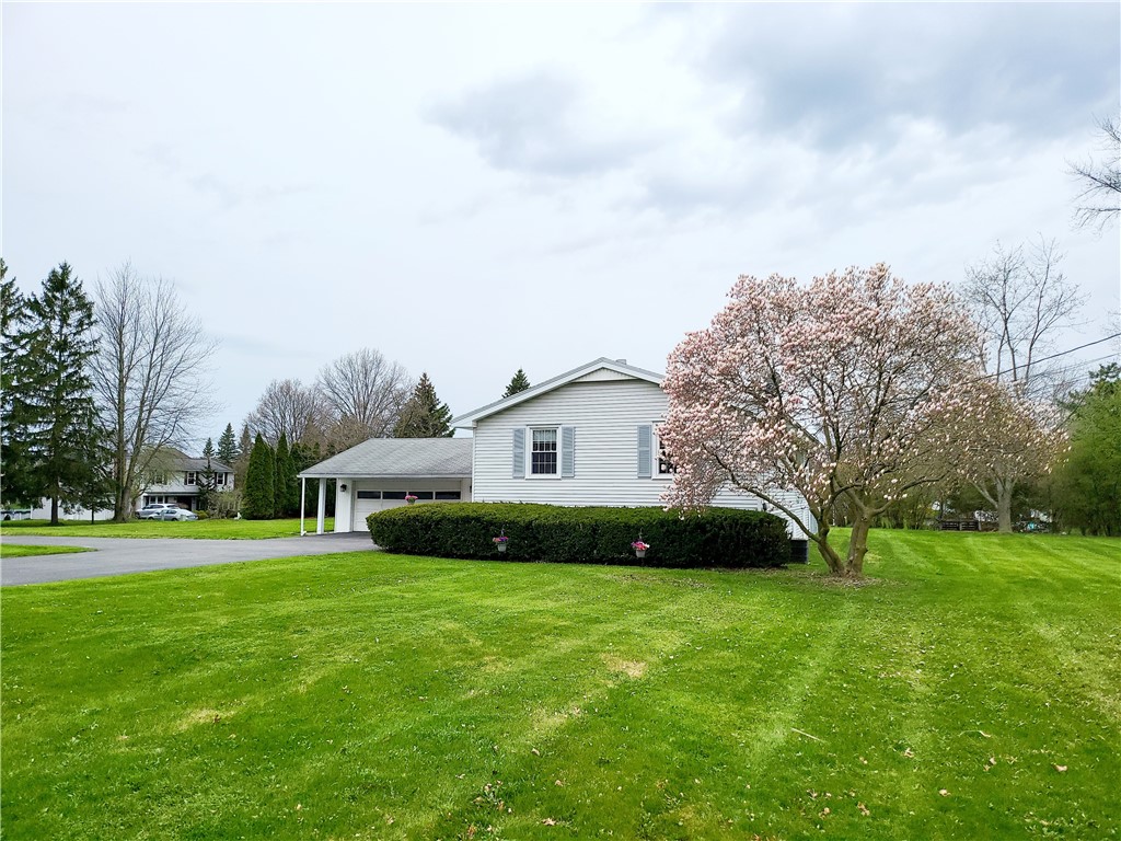 Over 1/2 Acre Lot in Webster Schools