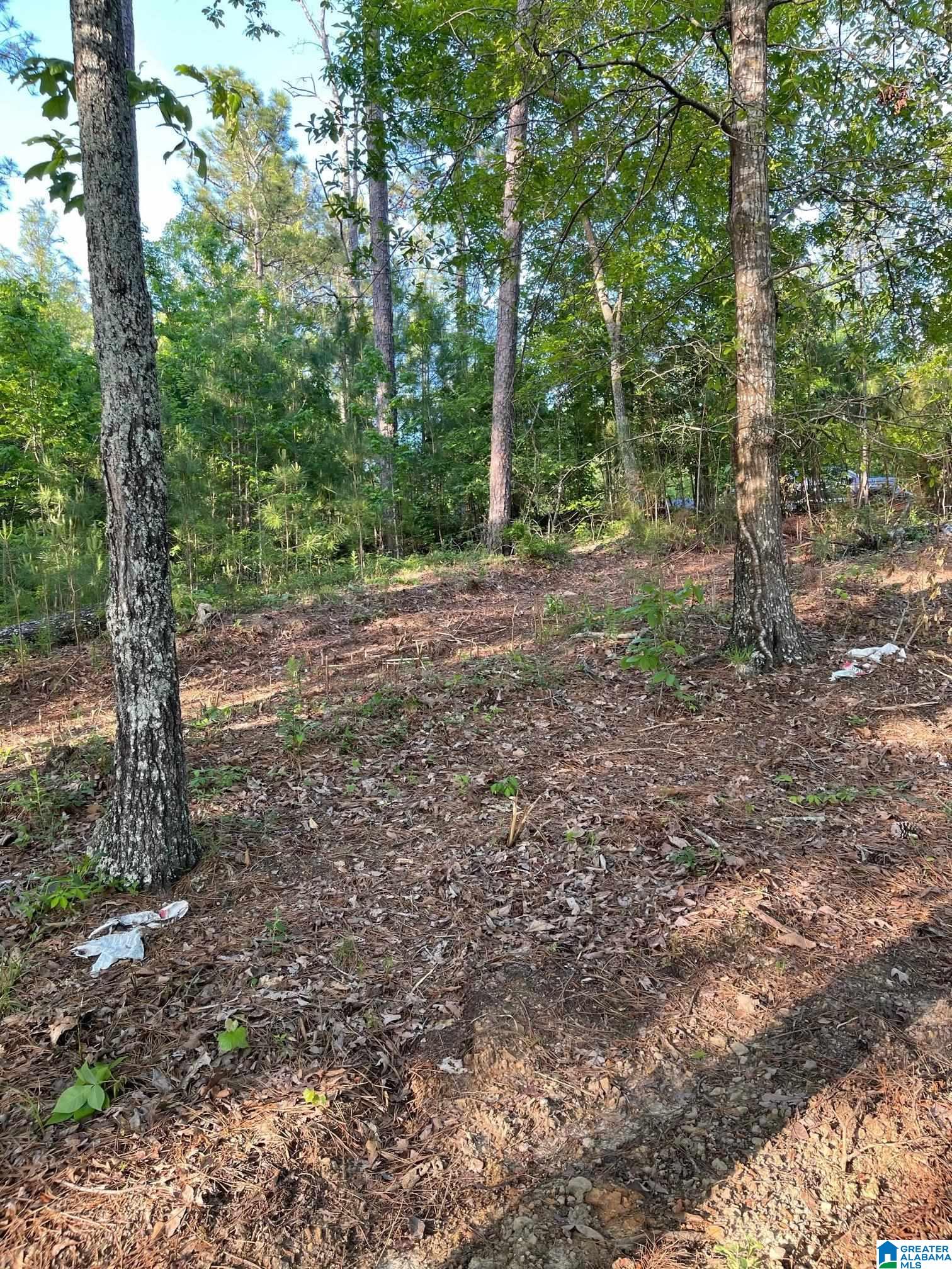 Lot 181 Stillwaters Trail, Unit 181 Sylacauga, AL 35151 - Photo 2 of 3