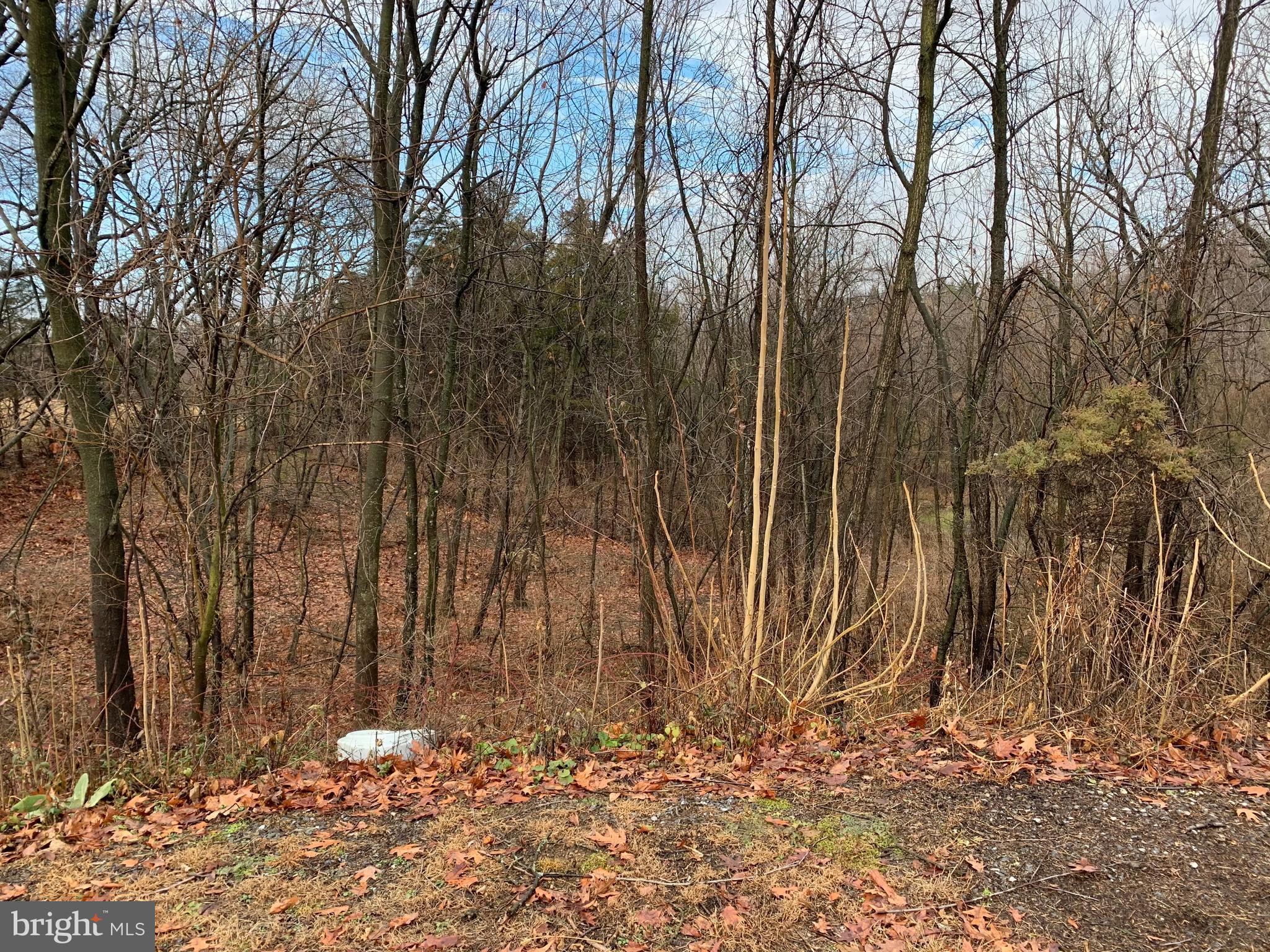 4522 Jacks Mill Road Chambersburg, PA 17202 - Photo 3 of 6 Land