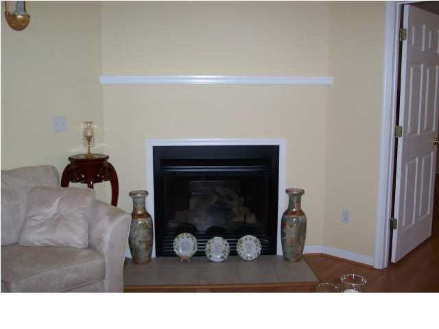 2010 Pine Top Road Charlottesville, VA 22903 - Photo 1 of 1 Closer view of fireplace. Hardwood & laminate flooring throughout home.