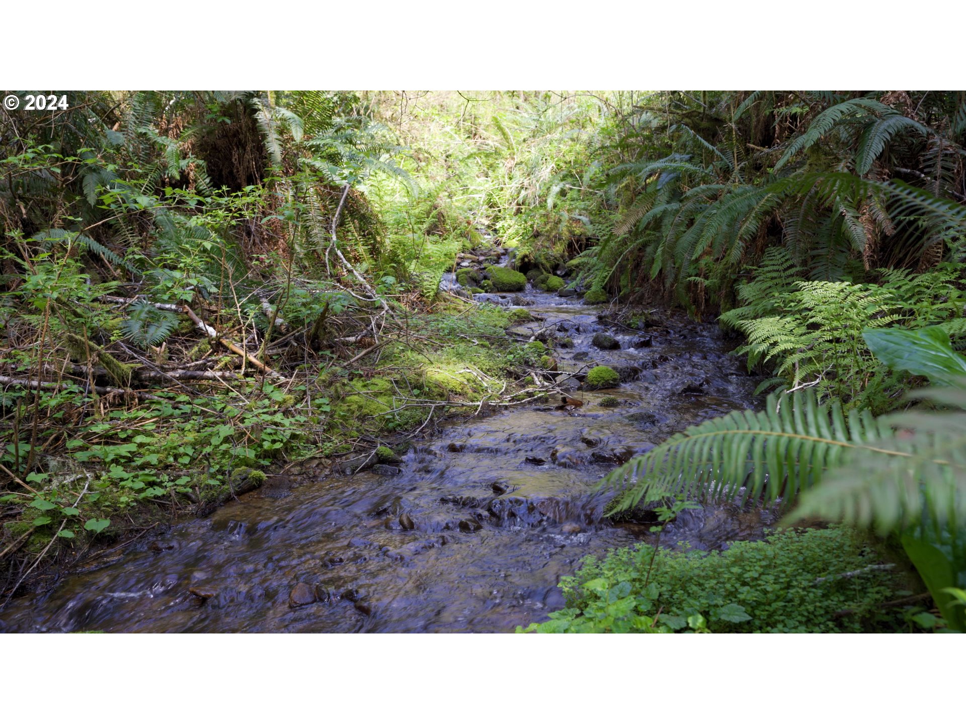 89915 Ben Bunch Road Florence, OR 97439 - Photo 29 of 33 a black and white photo of a house