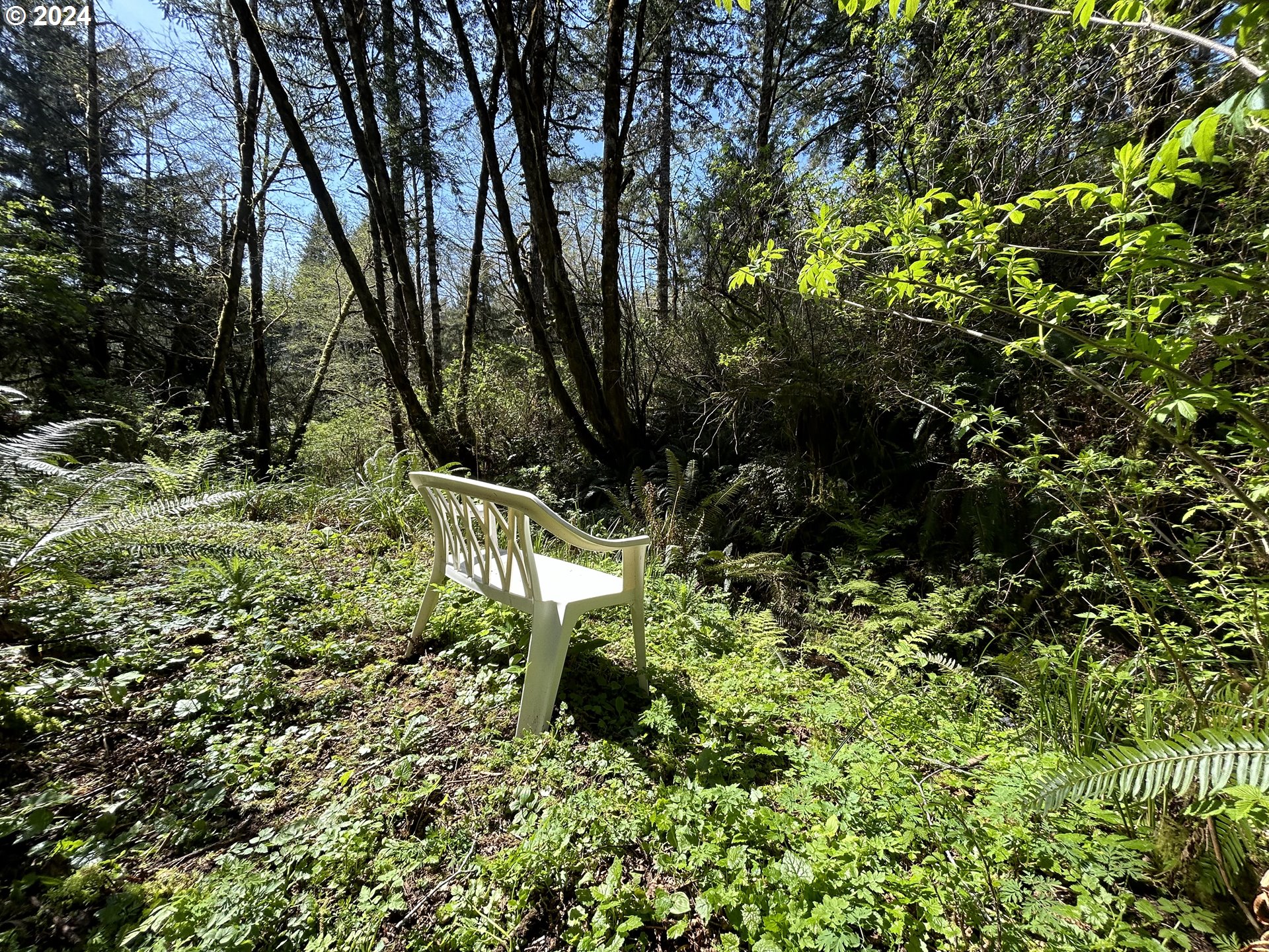 89915 Ben Bunch Road Florence, OR 97439 - Photo 30 of 33 a backyard of a house with lots of plants and trees