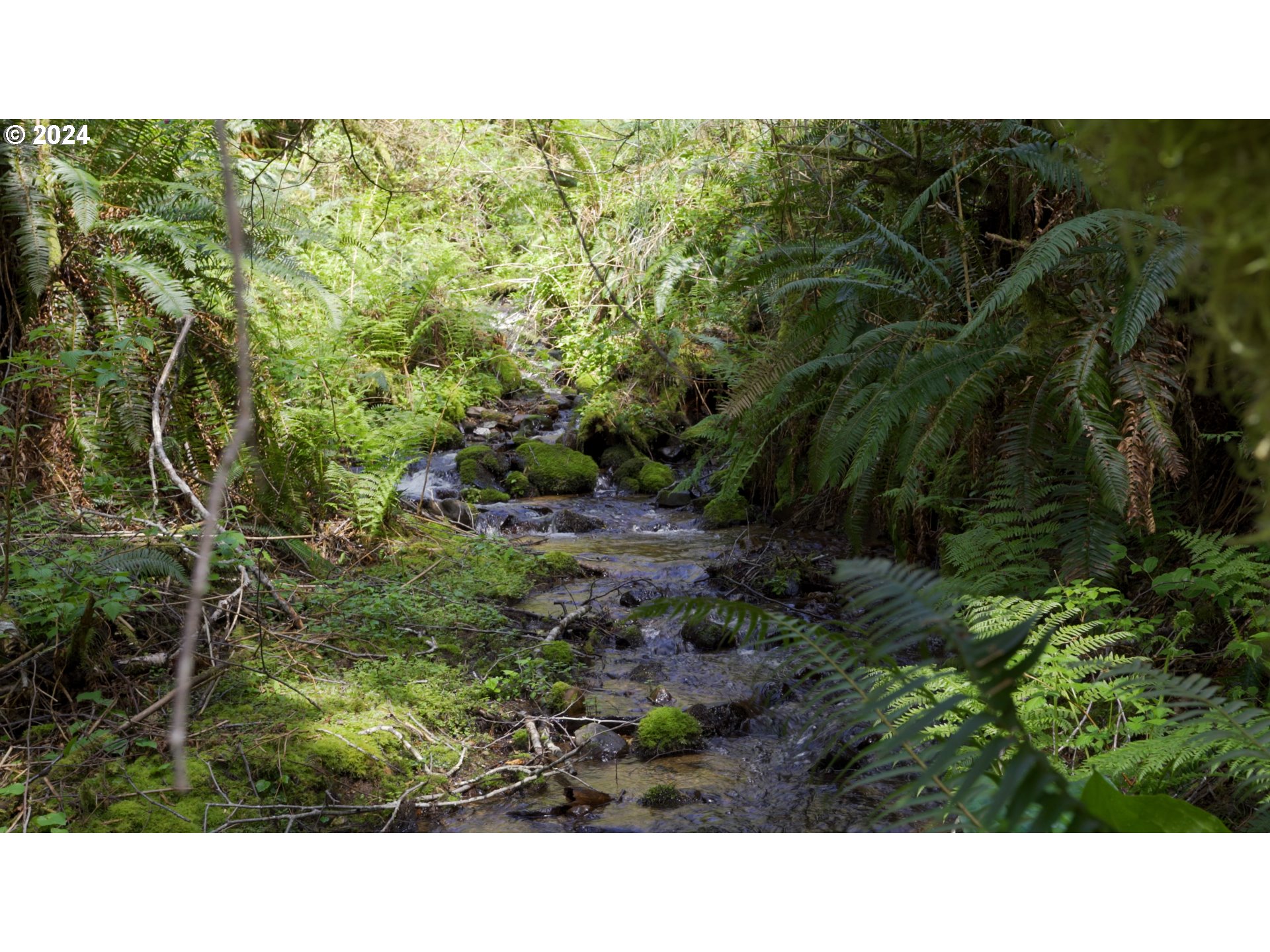 89915 Ben Bunch Road Florence, OR 97439 - Photo 31 of 33 a black and white photo of a house