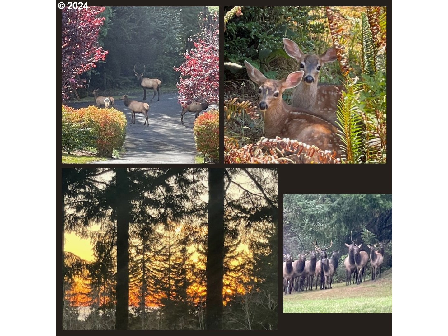 89915 Ben Bunch Road Florence, OR 97439 - Photo 32 of 33