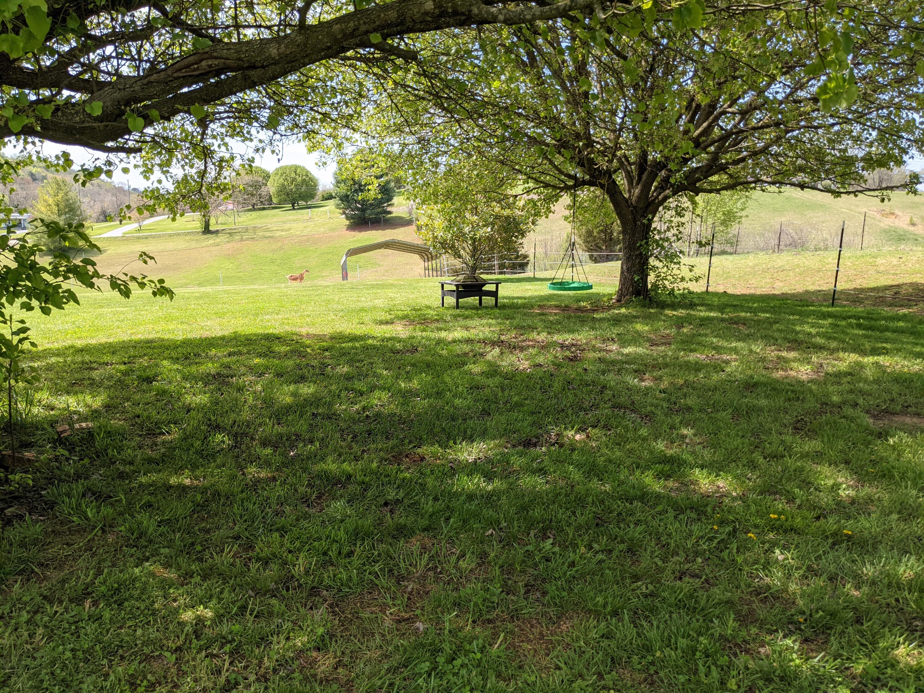 1980 Debusk Road Greeneville, TN 37743 - Photo 30 of 33 PXL_20210409_171545375