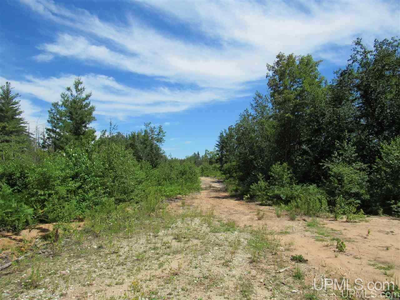 2804-acres Co Rd 442 McMillan, MI 49853 - Photo 16 of 48