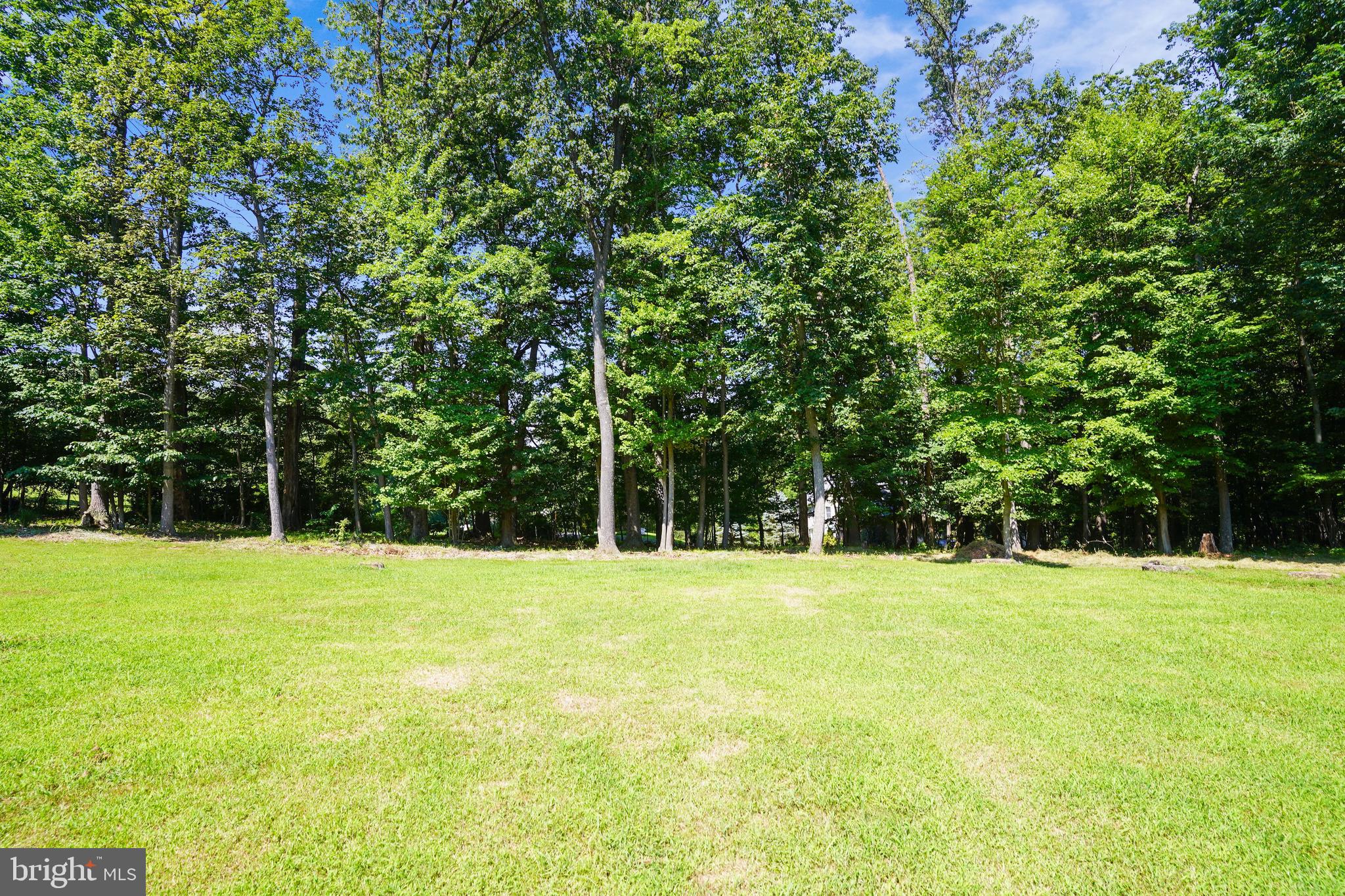 6648 South Clifton Road Frederick, MD 21703 - Photo 99 of 125