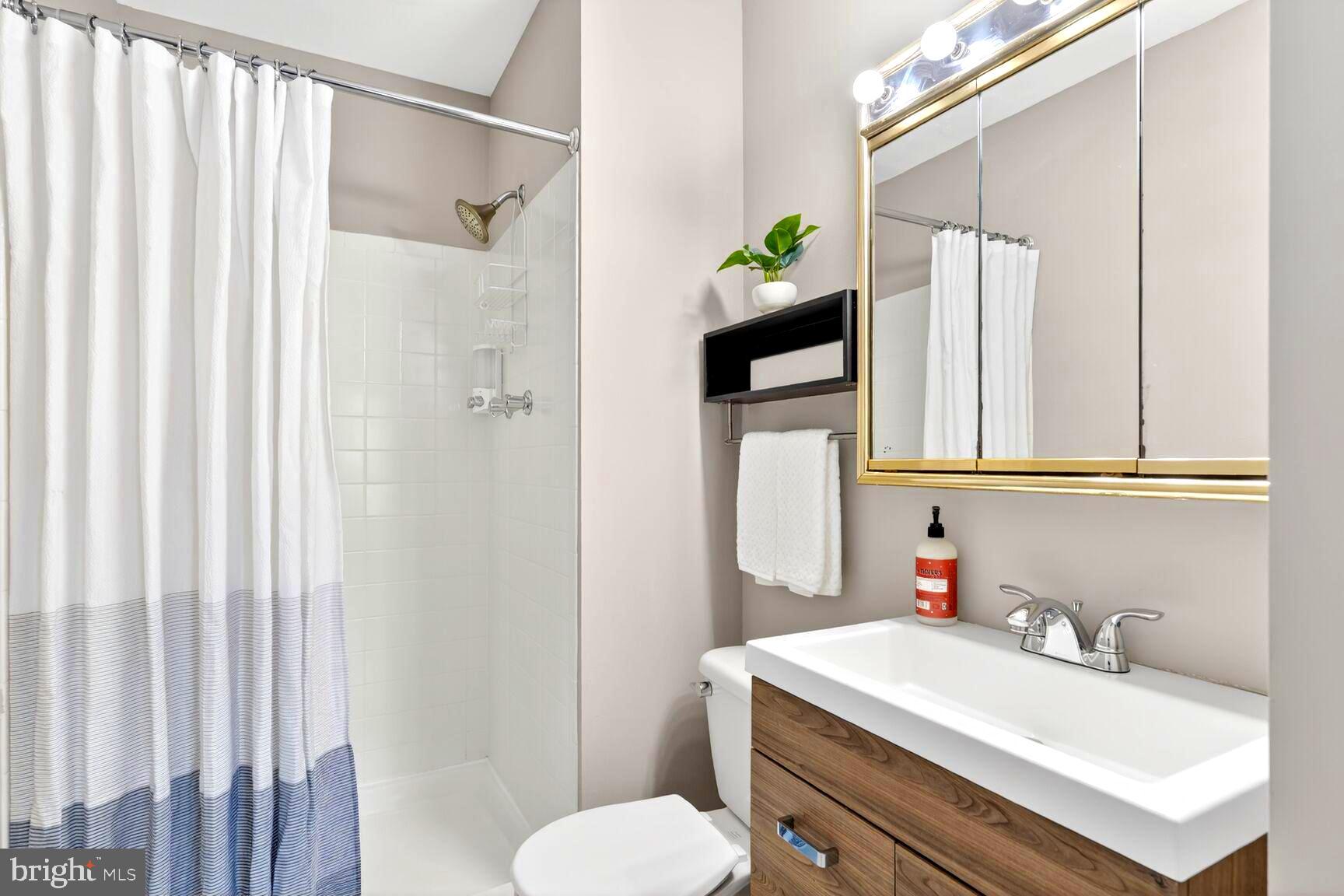 7204 Lavender Lane Springfield, VA 22150 - Photo 15 of 28 Primary Bath