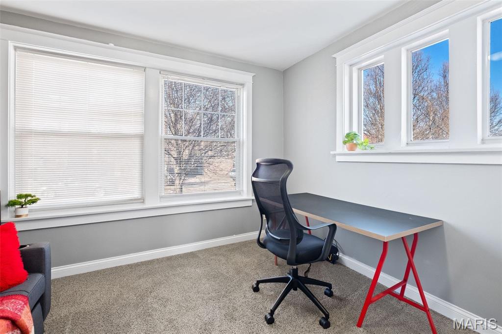 3716 South Compton Avenue St. Louis, MO 63118 - Photo 8 of 20