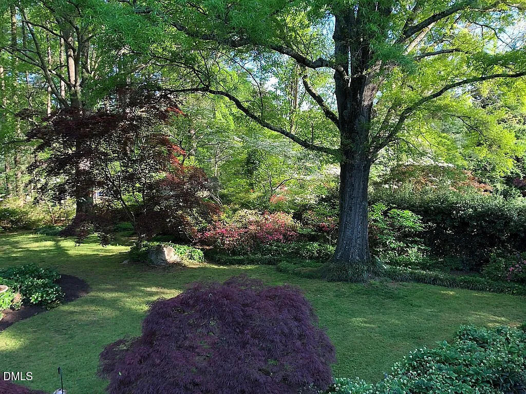 240 Crestwood Drive Roxboro, NC 27573 - Photo 24 of 25 a view of a garden with a tree