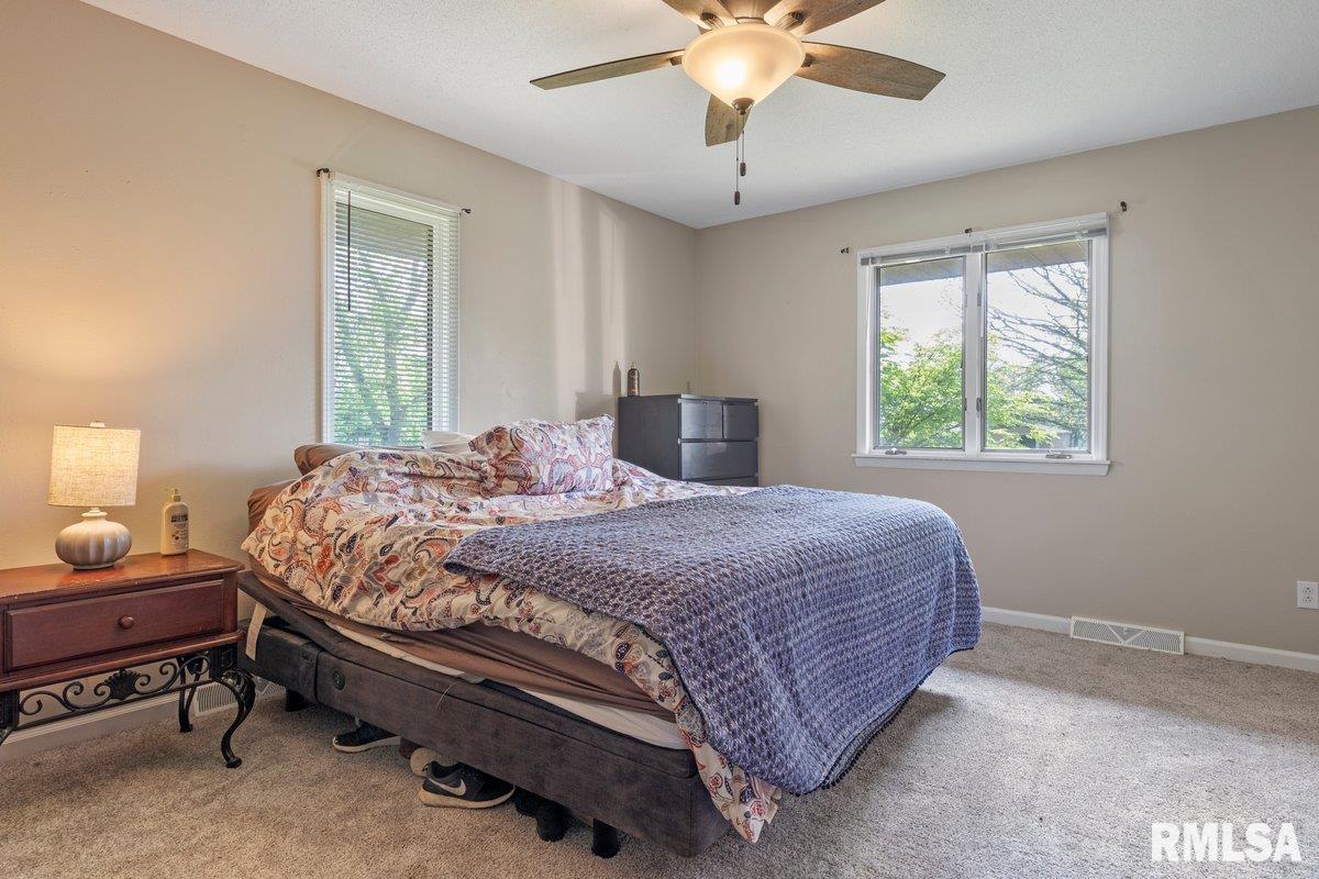825 South Walnut Street Rochester, IL 62563 - Photo 14 of 53