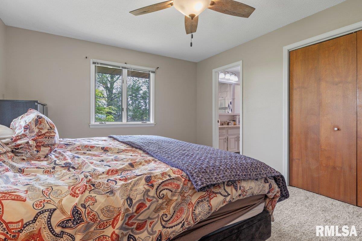 825 South Walnut Street Rochester, IL 62563 - Photo 16 of 53