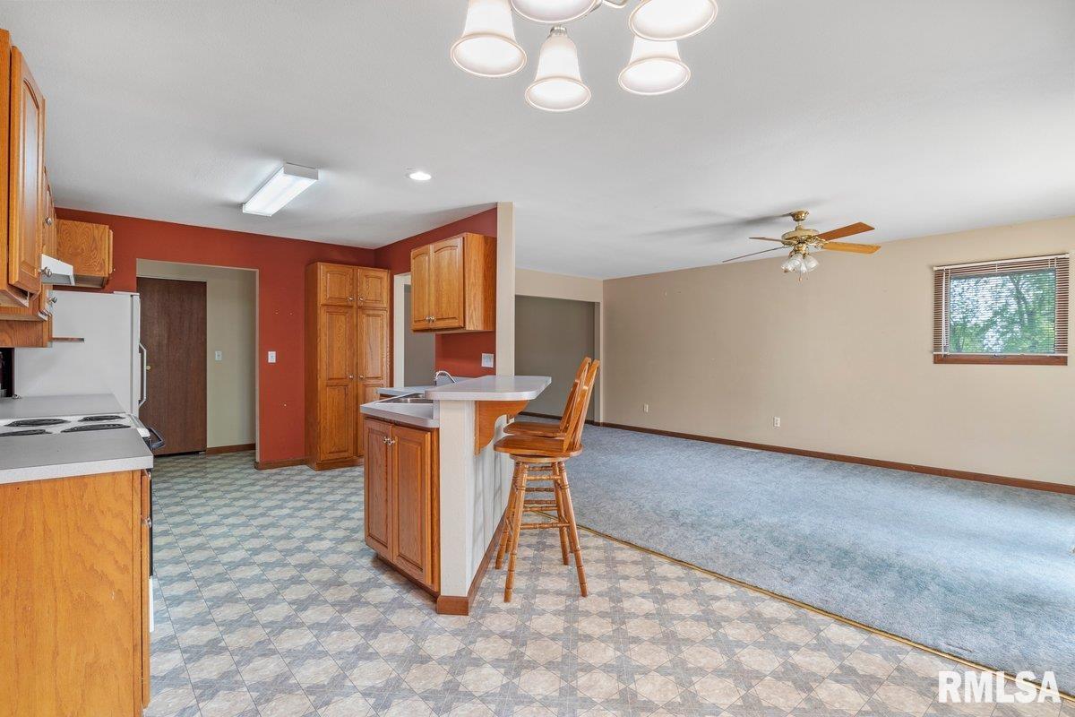 825 South Walnut Street Rochester, IL 62563 - Photo 34 of 53