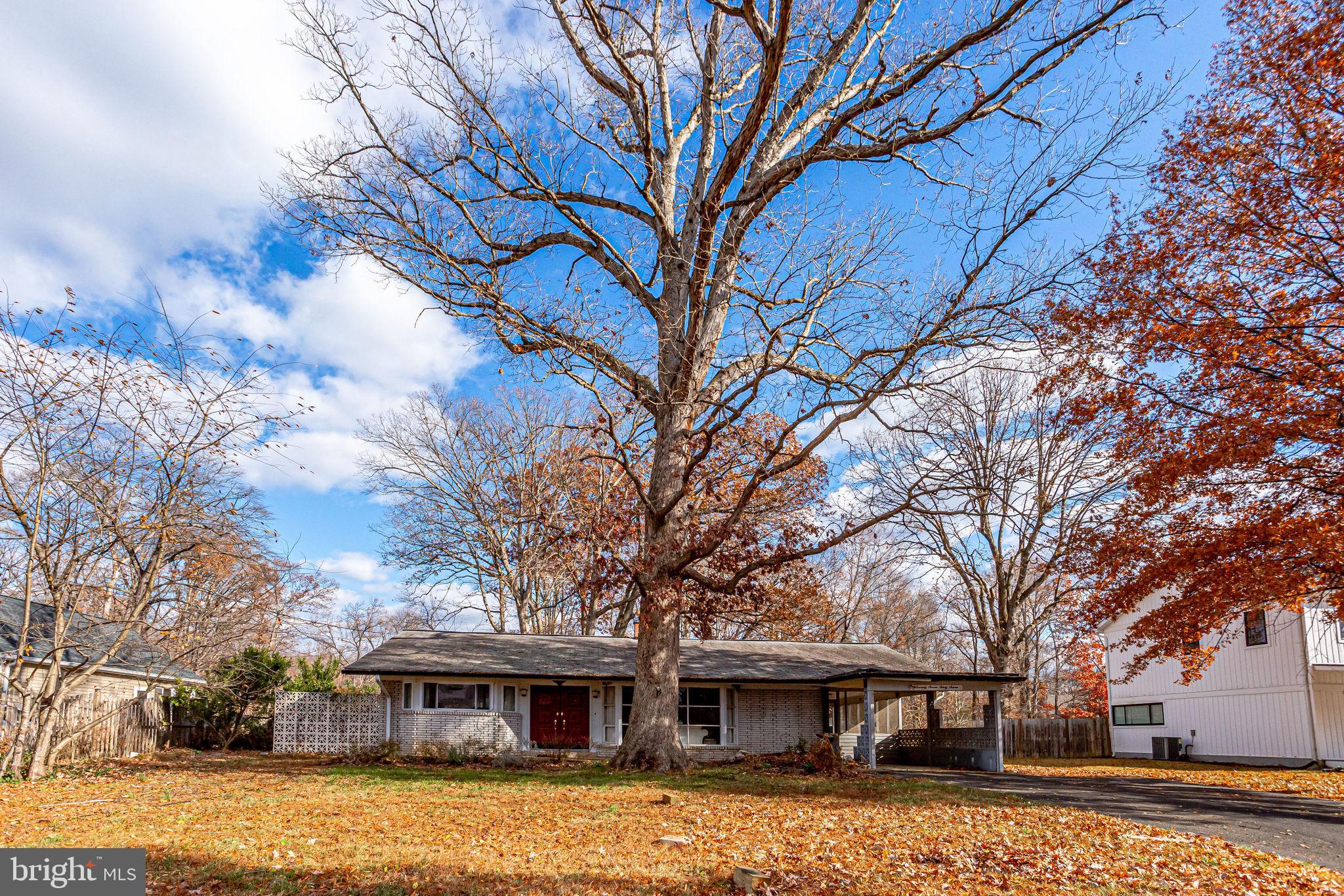 7737 Schelhorn Road Alexandria, VA 22306 - Photo 5 of 45 Gallery Image 5