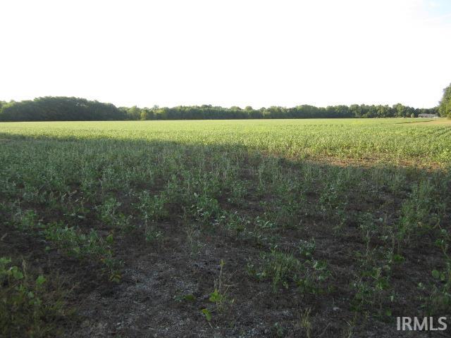 2 County Road 2 Granger, IN 46530 - Photo 1 of 4