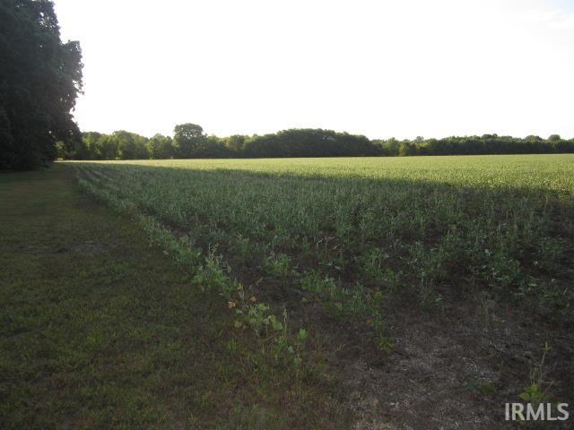 2 County Road 2 Granger, IN 46530 - Photo 3 of 4