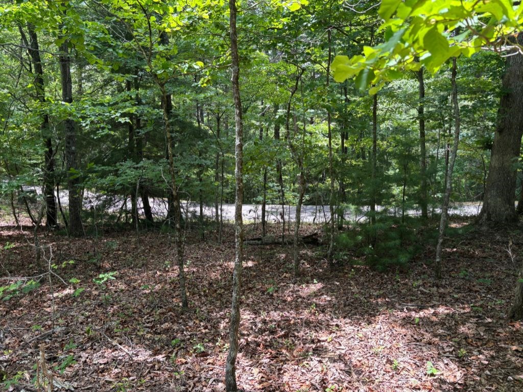 Lot 46 Mission Ridge Hayesville, NC 28904 - Photo 7 of 15