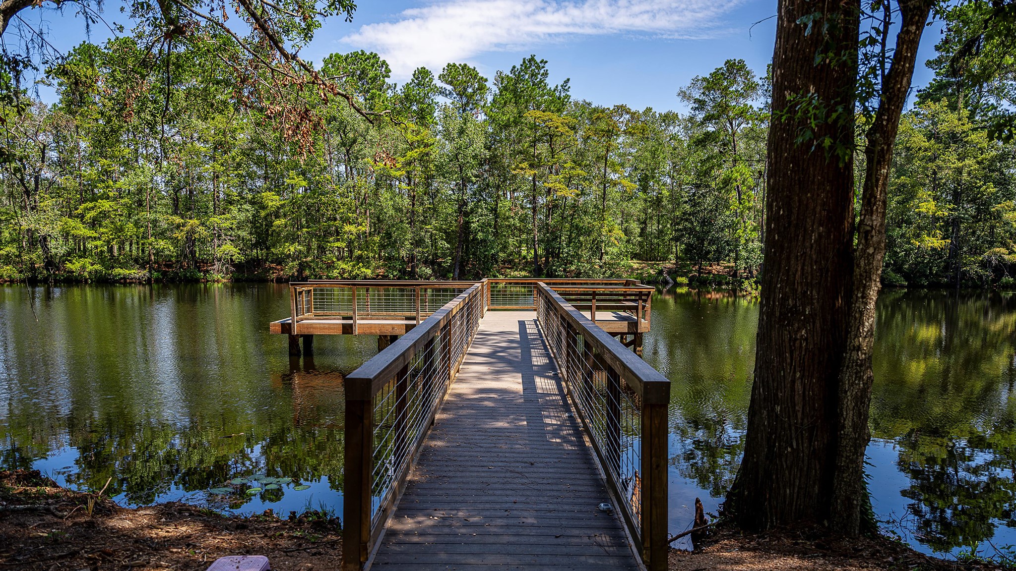9627 Mount Brewer Lane Porter, TX 77365 - Photo 12 of 13 a view of a balcony with wooden floor and lake view