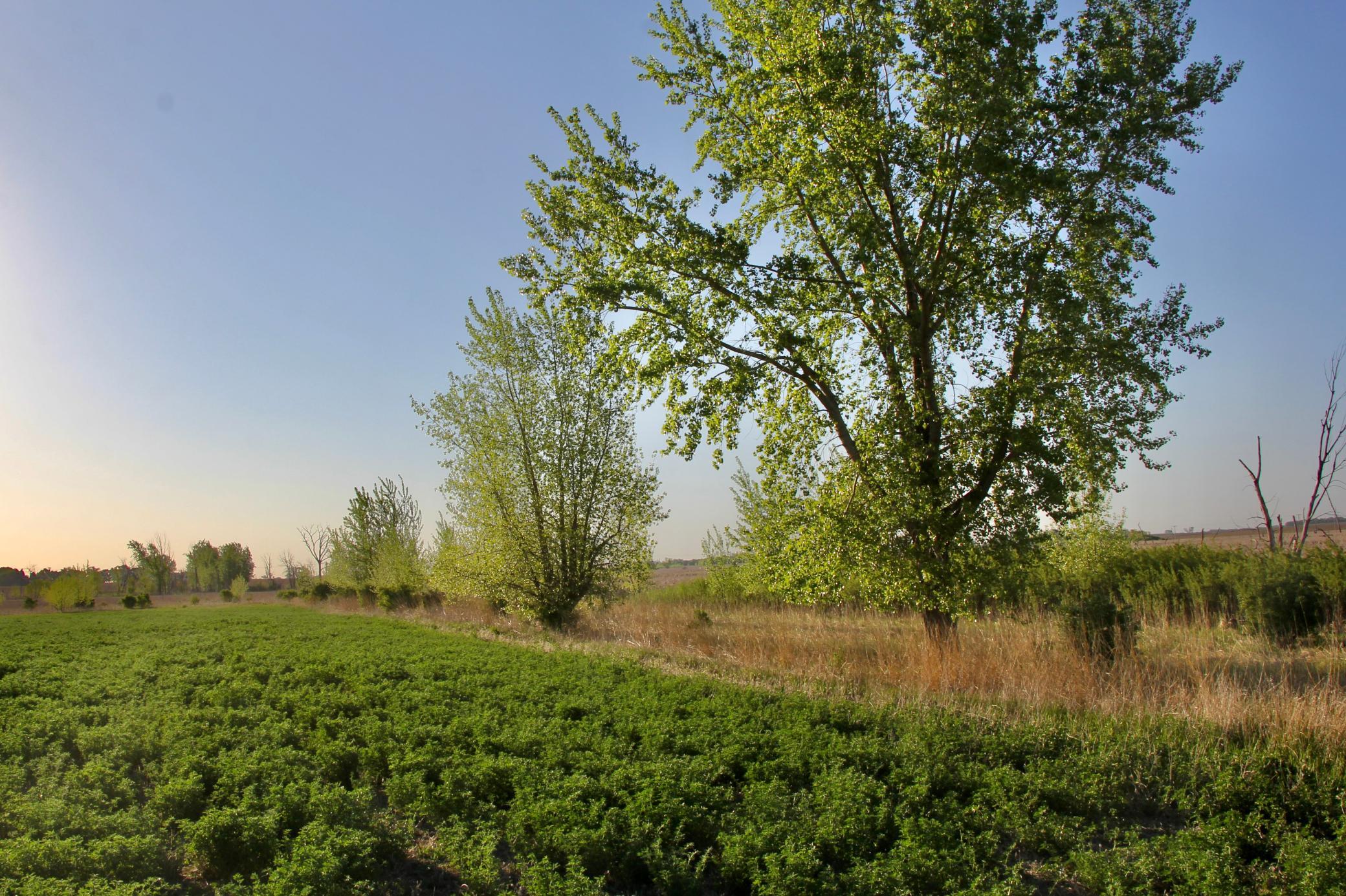 14 Co Highway 14 Madison, MN 56256 - Photo 11 of 31