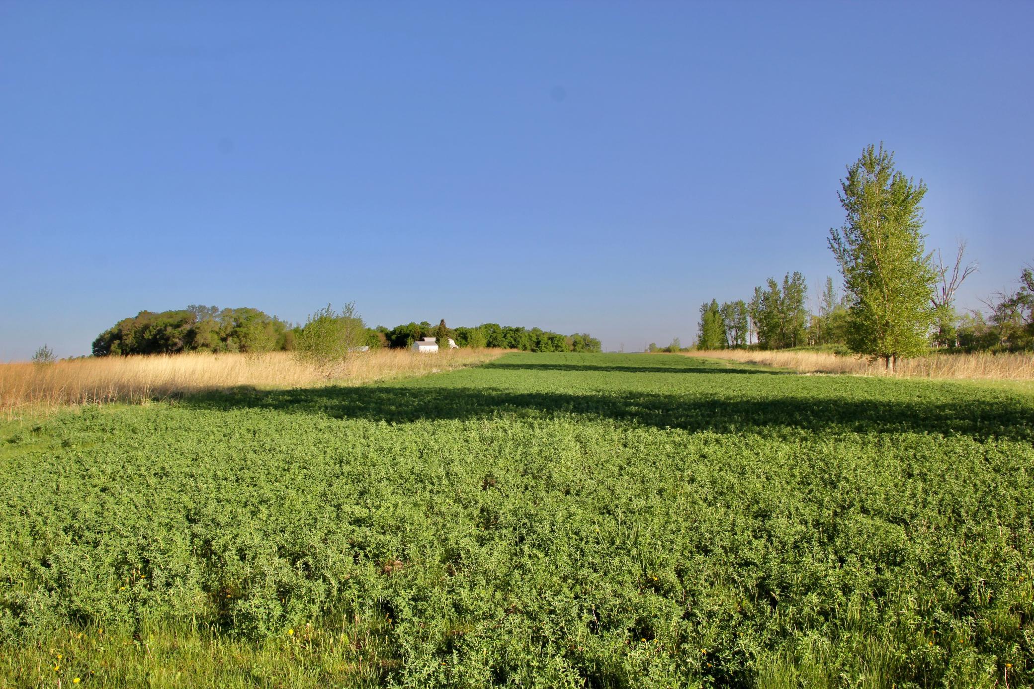 14 Co Highway 14 Madison, MN 56256 - Photo 13 of 31