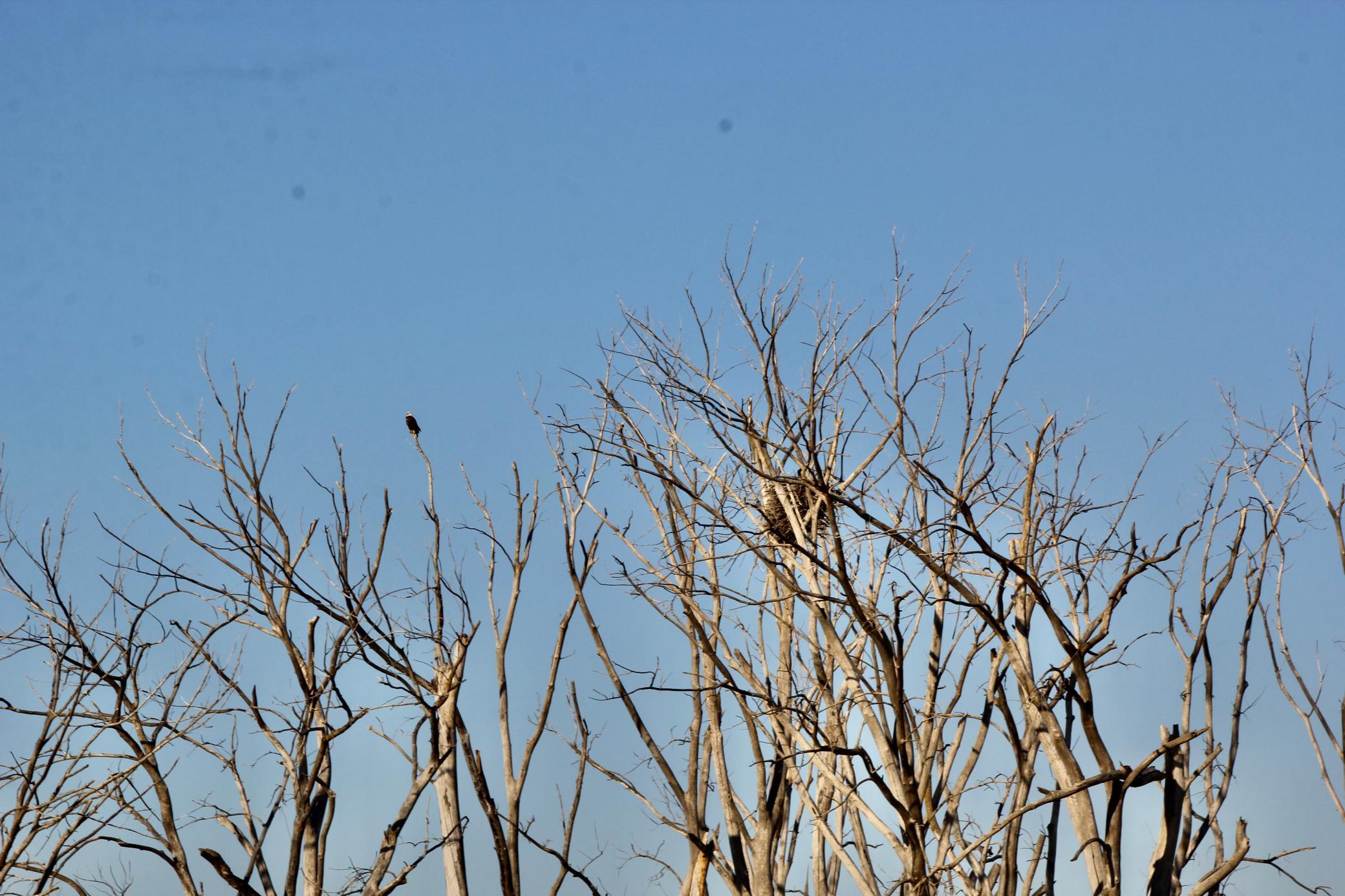 14 Co Highway 14 Madison, MN 56256 - Photo 14 of 31
