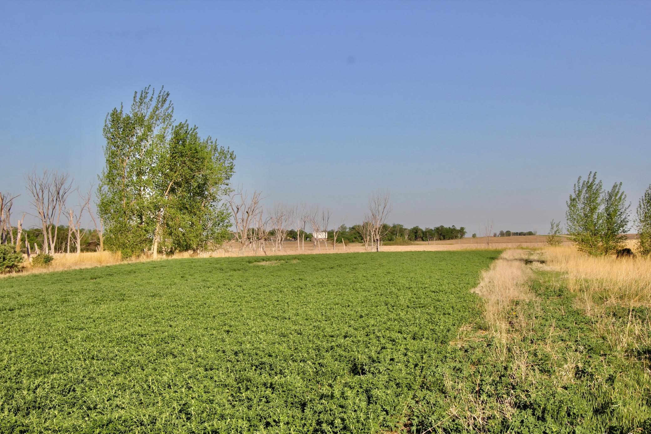 14 Co Highway 14 Madison, MN 56256 - Photo 15 of 31
