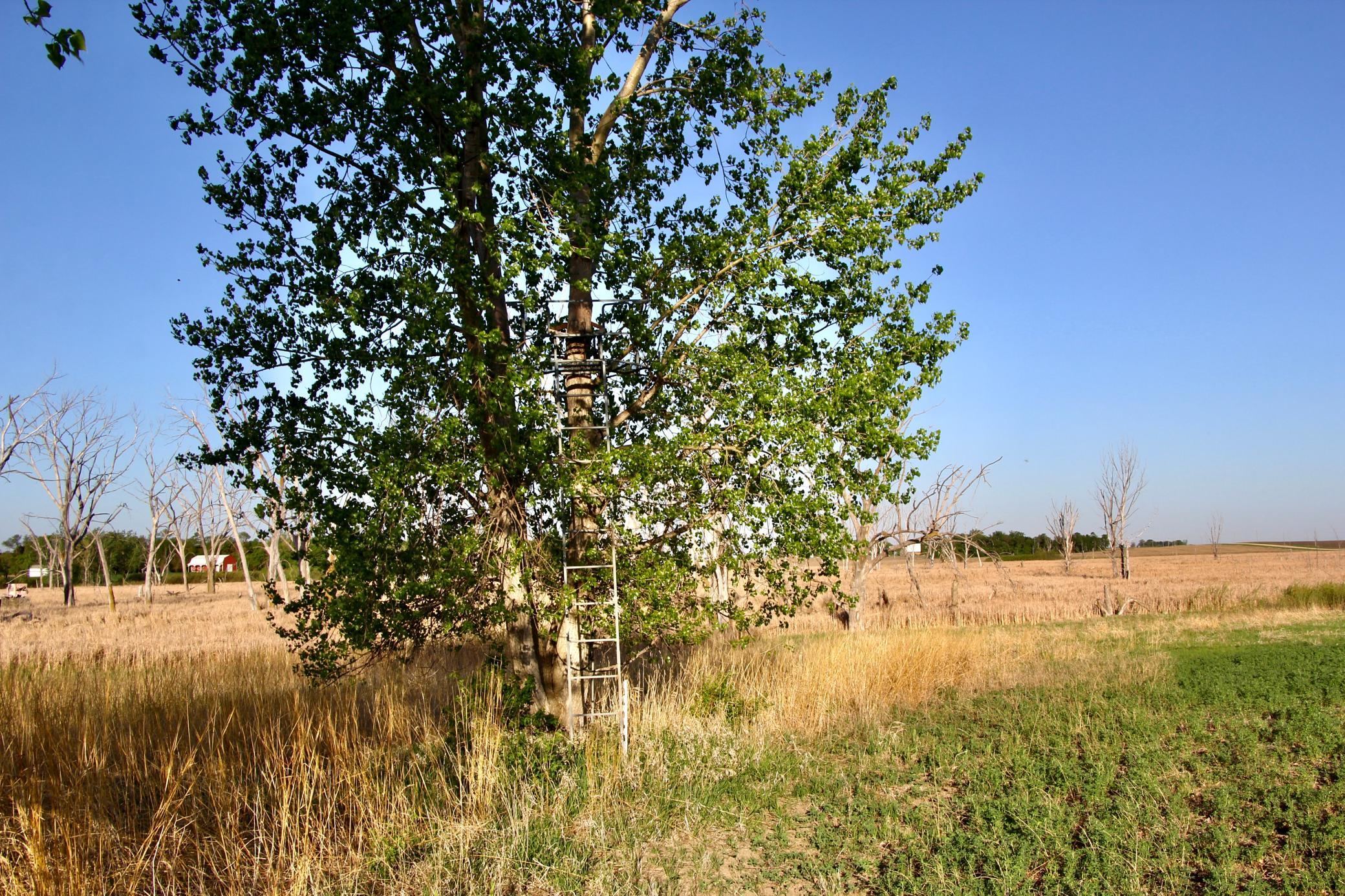 14 Co Highway 14 Madison, MN 56256 - Photo 16 of 31