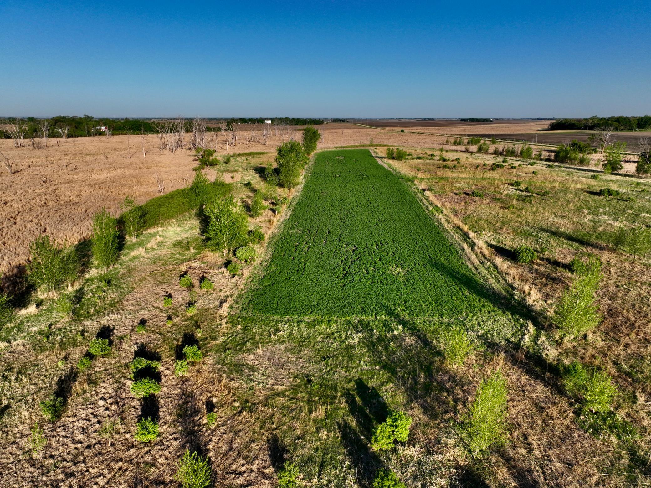 14 Co Highway 14 Madison, MN 56256 - Photo 18 of 31