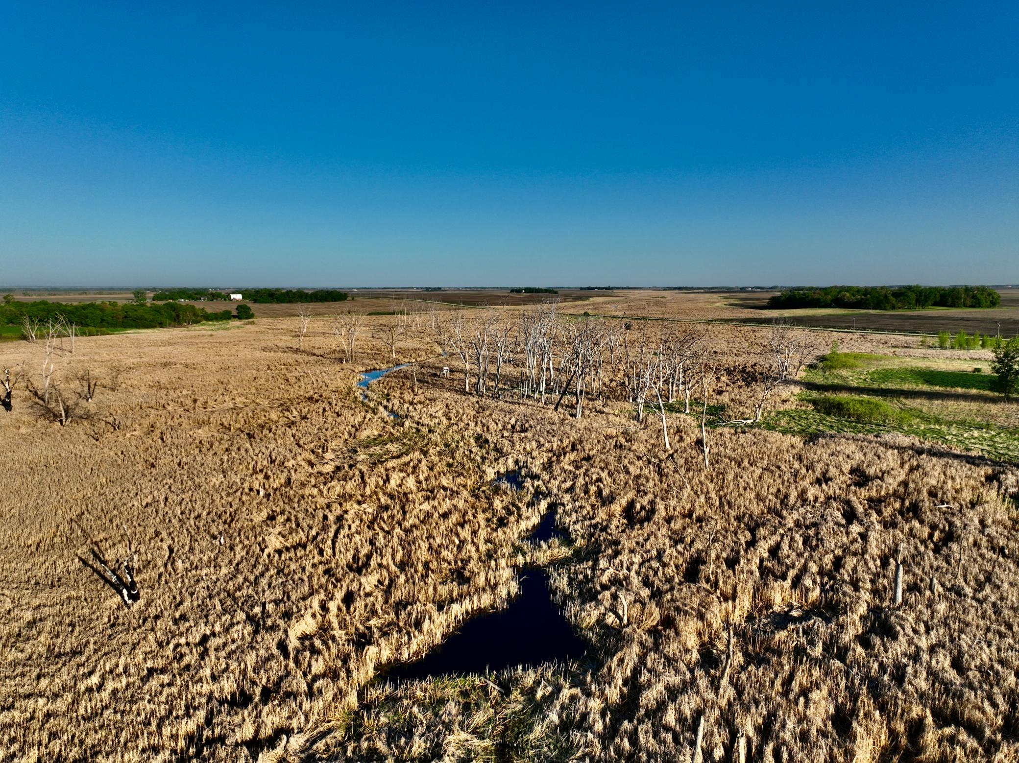 14 Co Highway 14 Madison, MN 56256 - Photo 19 of 31