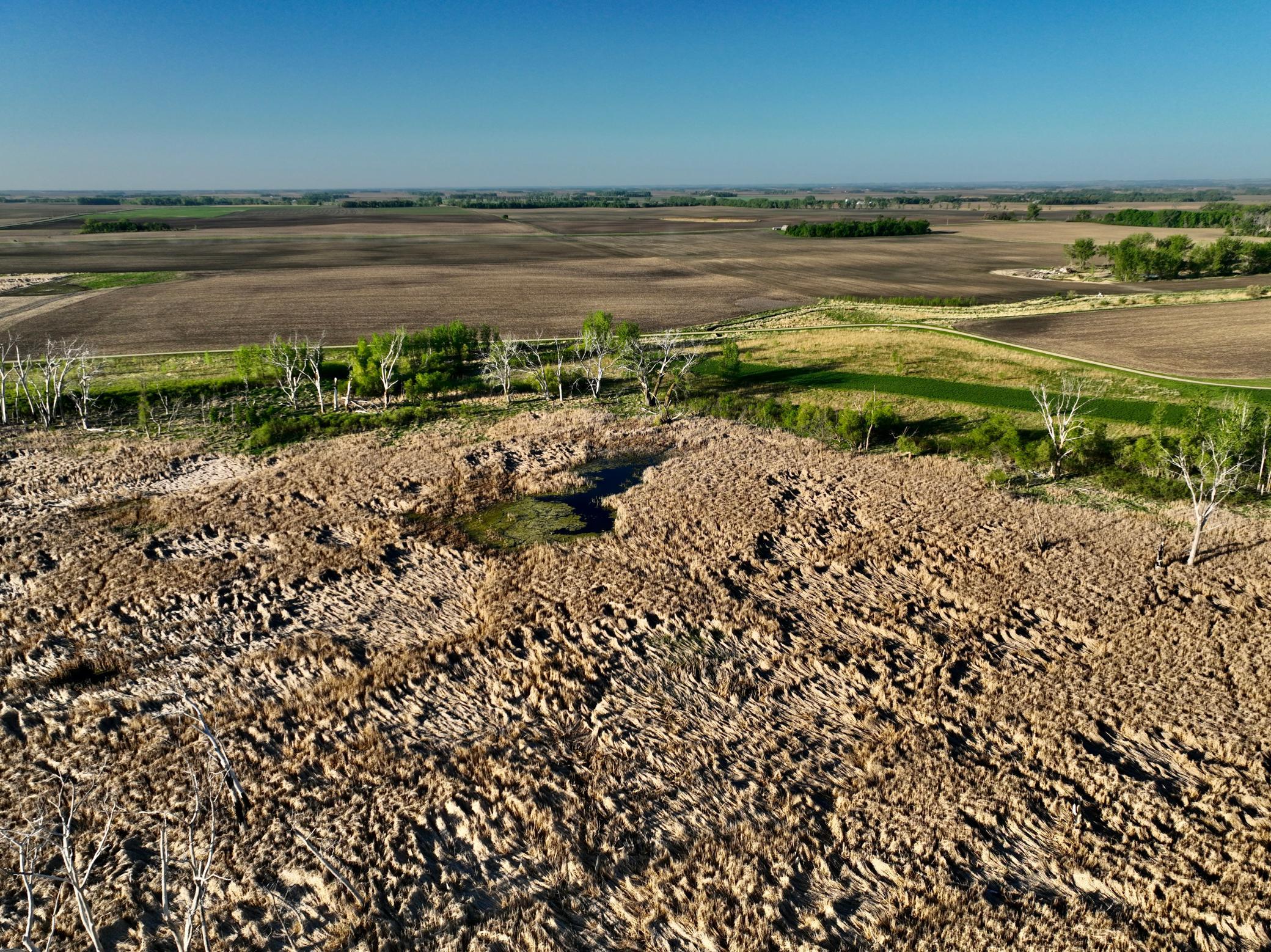 14 Co Highway 14 Madison, MN 56256 - Photo 20 of 31