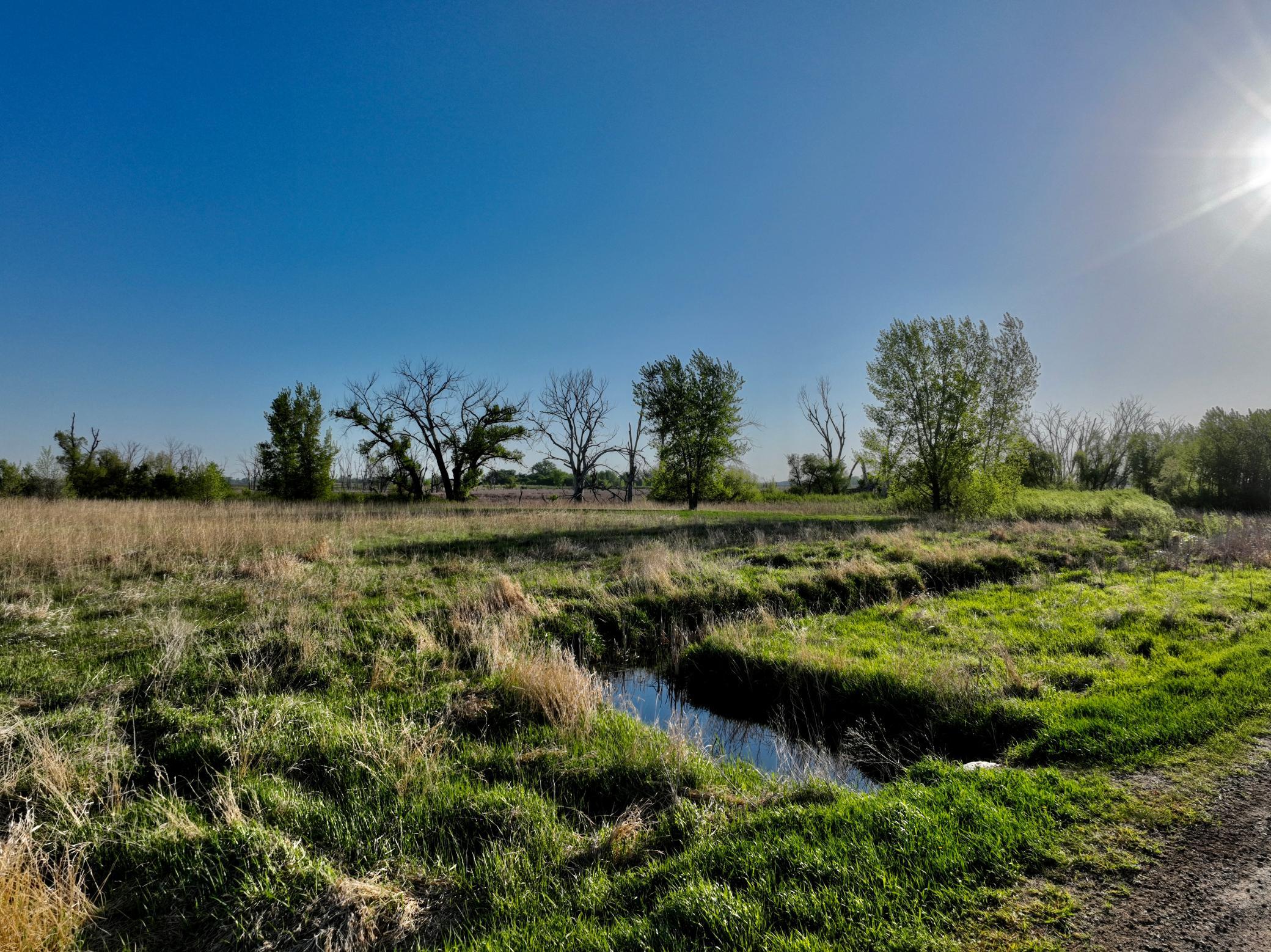 14 Co Highway 14 Madison, MN 56256 - Photo 21 of 31