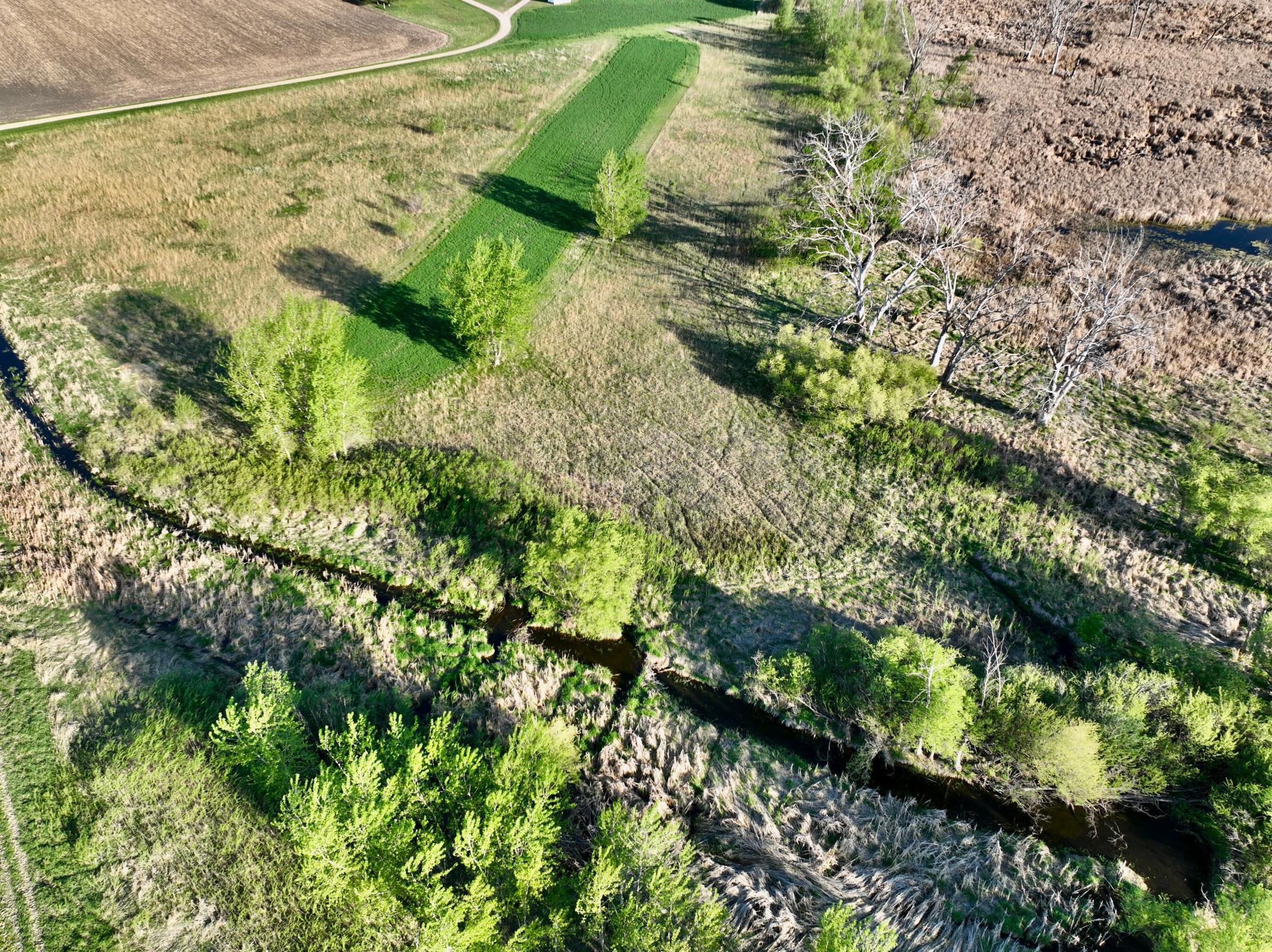 14 Co Highway 14 Madison, MN 56256 - Photo 24 of 31