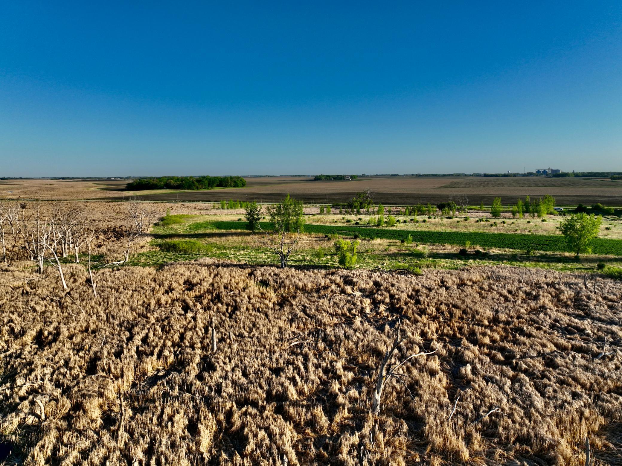14 Co Highway 14 Madison, MN 56256 - Photo 26 of 31