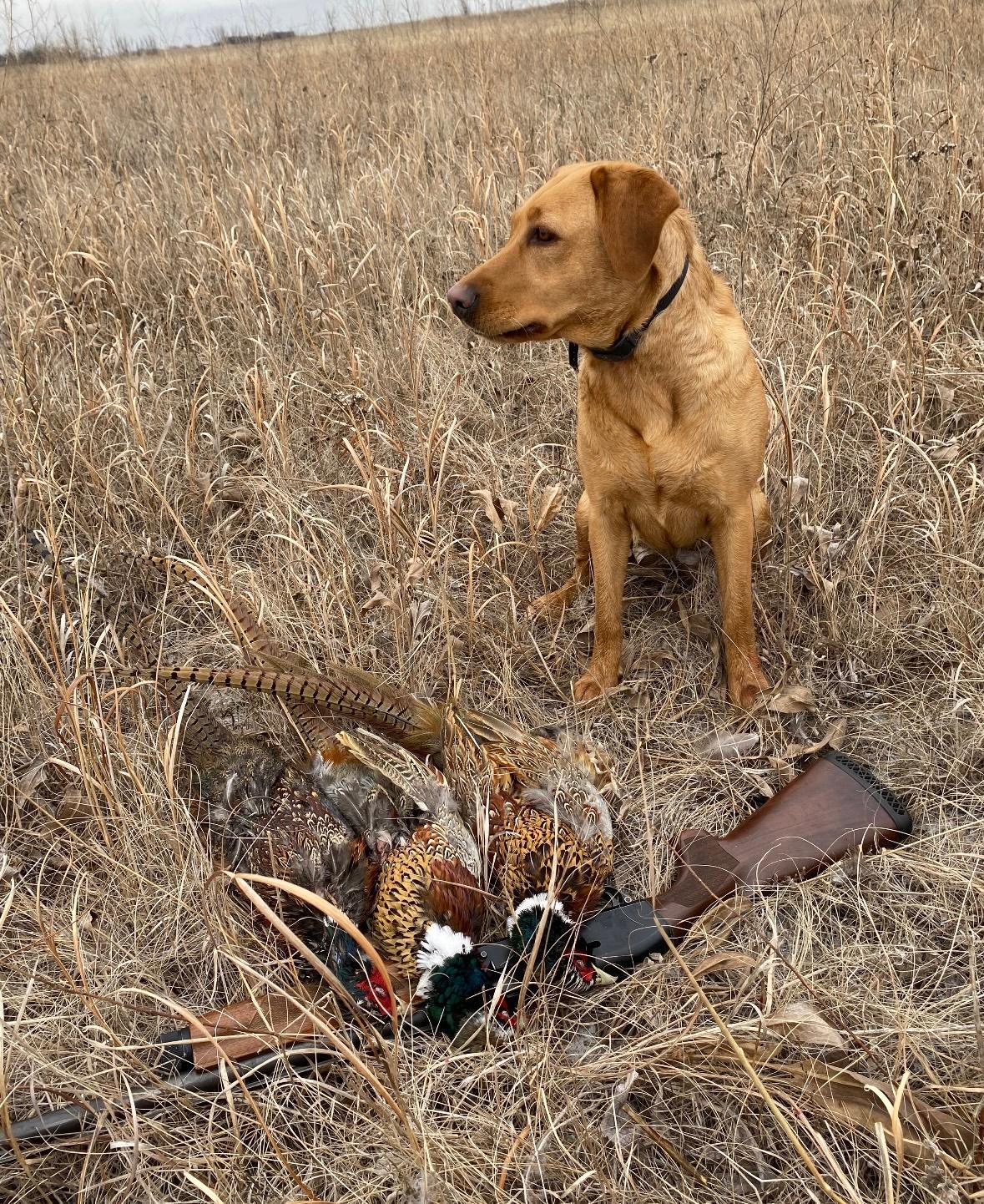 14 Co Highway 14 Madison, MN 56256 - Photo 5 of 31