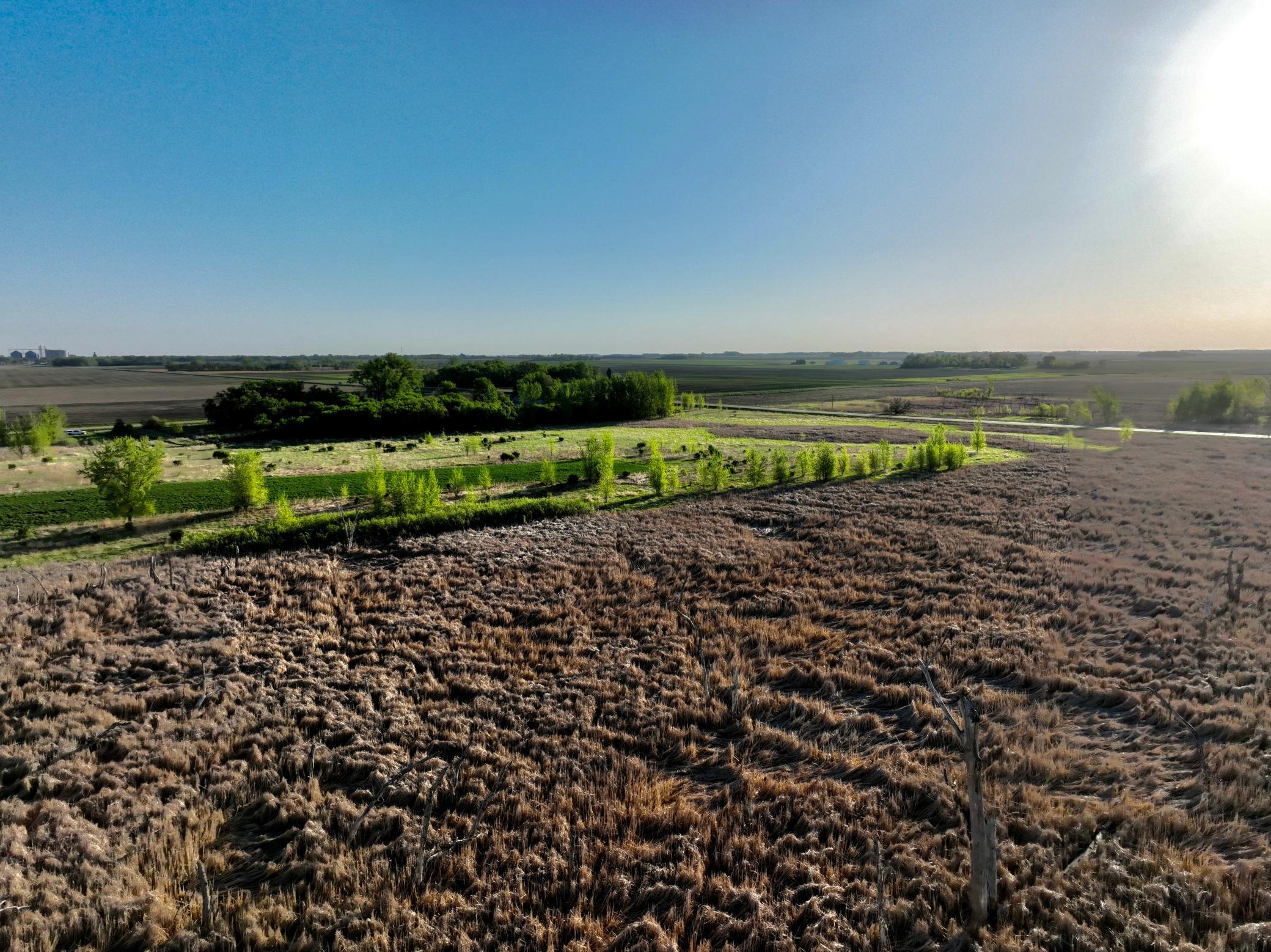 14 Co Highway 14 Madison, MN 56256 - Photo 7 of 31