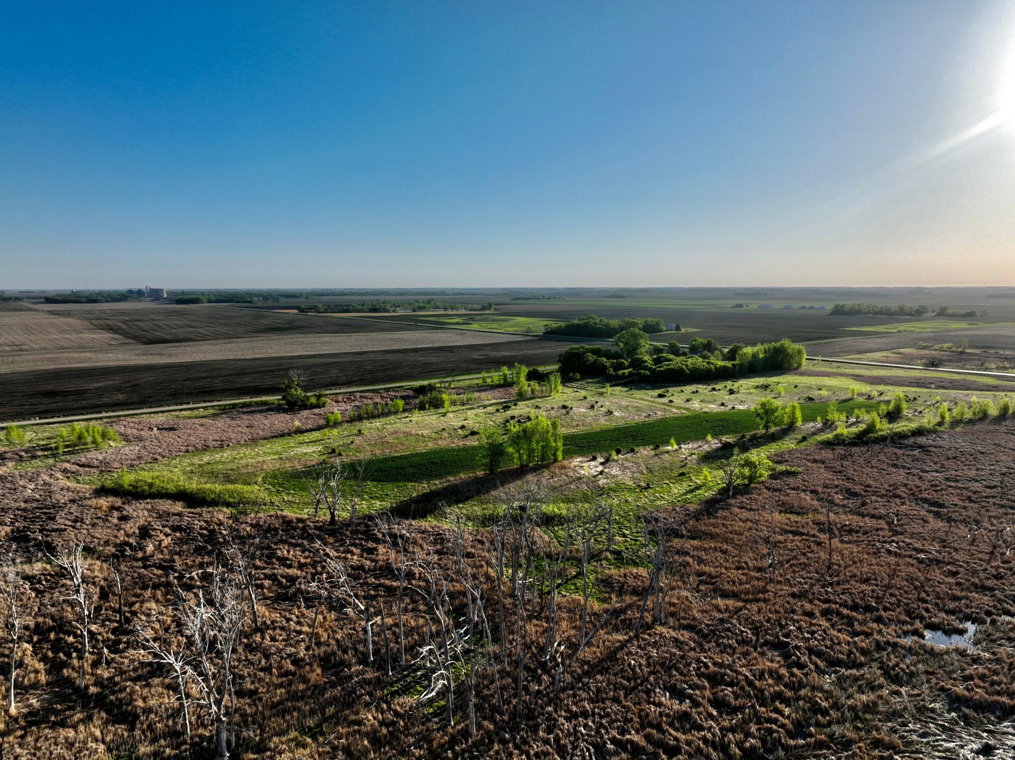 14 Co Highway 14 Madison, MN 56256 - Photo 9 of 31