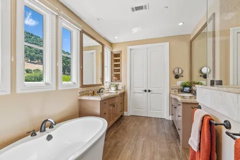 a view of a garden with plants and large trees