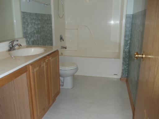1607 Rose Court Romeoville, IL 60446 - Photo 13 of 15 a bathroom with a sink a toilet and shower