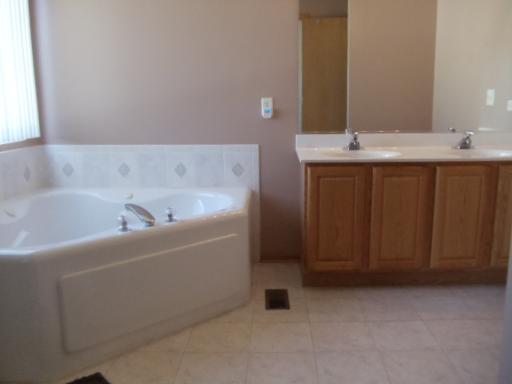 1607 Rose Court Romeoville, IL 60446 - Photo 9 of 15 a bathroom with a bathtub and a sink