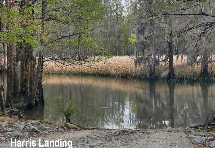 659 County Rd S-22-476 Georgetown, SC 29440 - Photo 38 of 43 Gallery Image 38